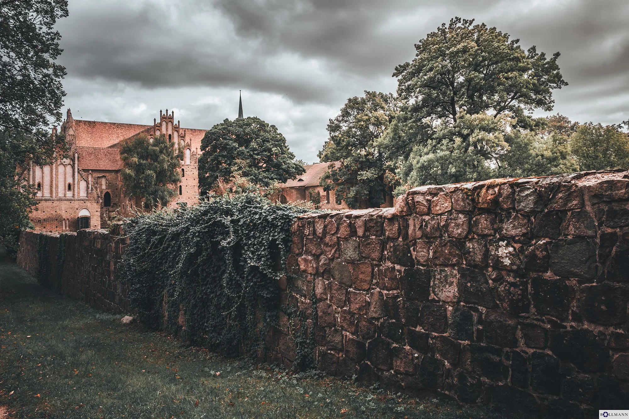 Kloster_Chorin_Mauerwerk_Sommer2024_BOLLMANN-BF_web.jpg
