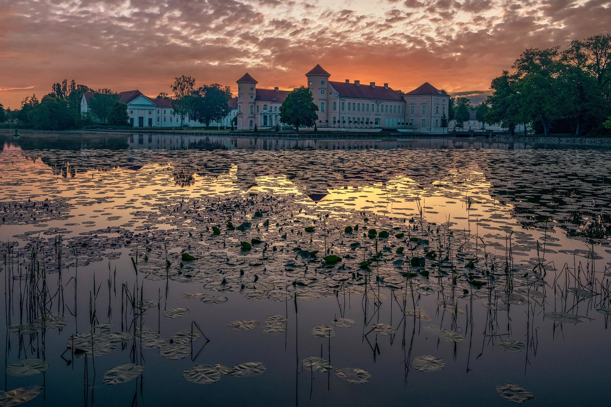 Grienericksee/Rheinsberg, 2022