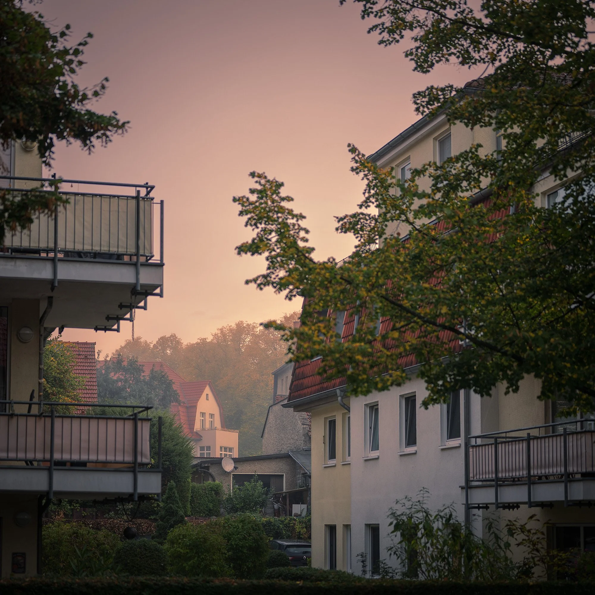 Brandenburg_HohenNeuendorf_Familienhäuser_Morgennebel_BOLLMANN-BF_web.jpg