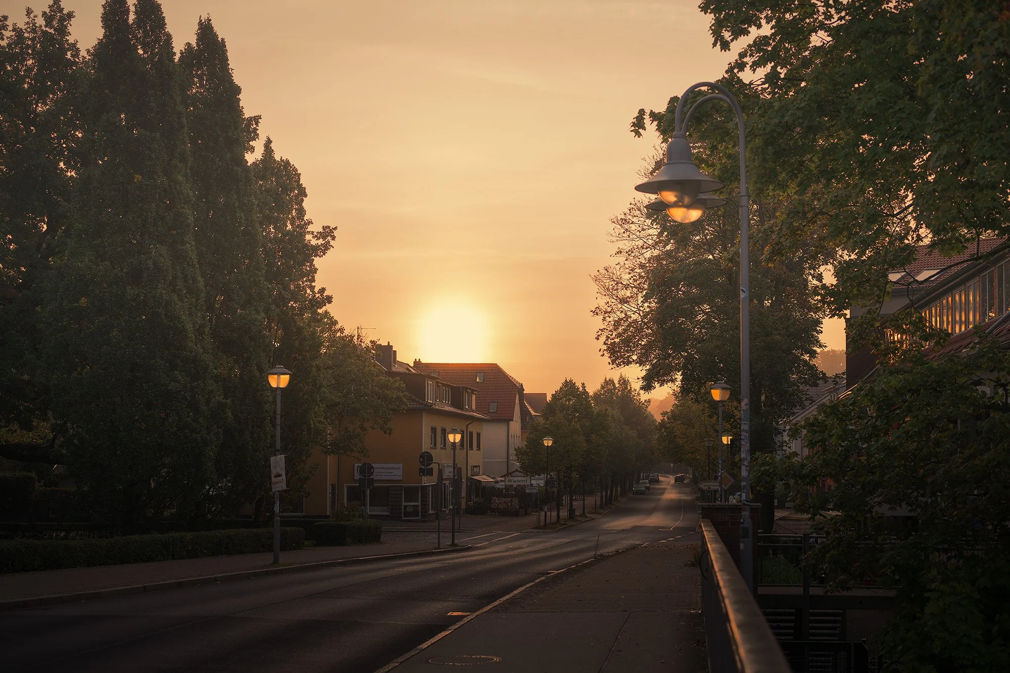 Brandenburg_HohenNeuendorf_SchönfließerStrasse_Morgennebel_BOLLMANN-BF_web.jpg