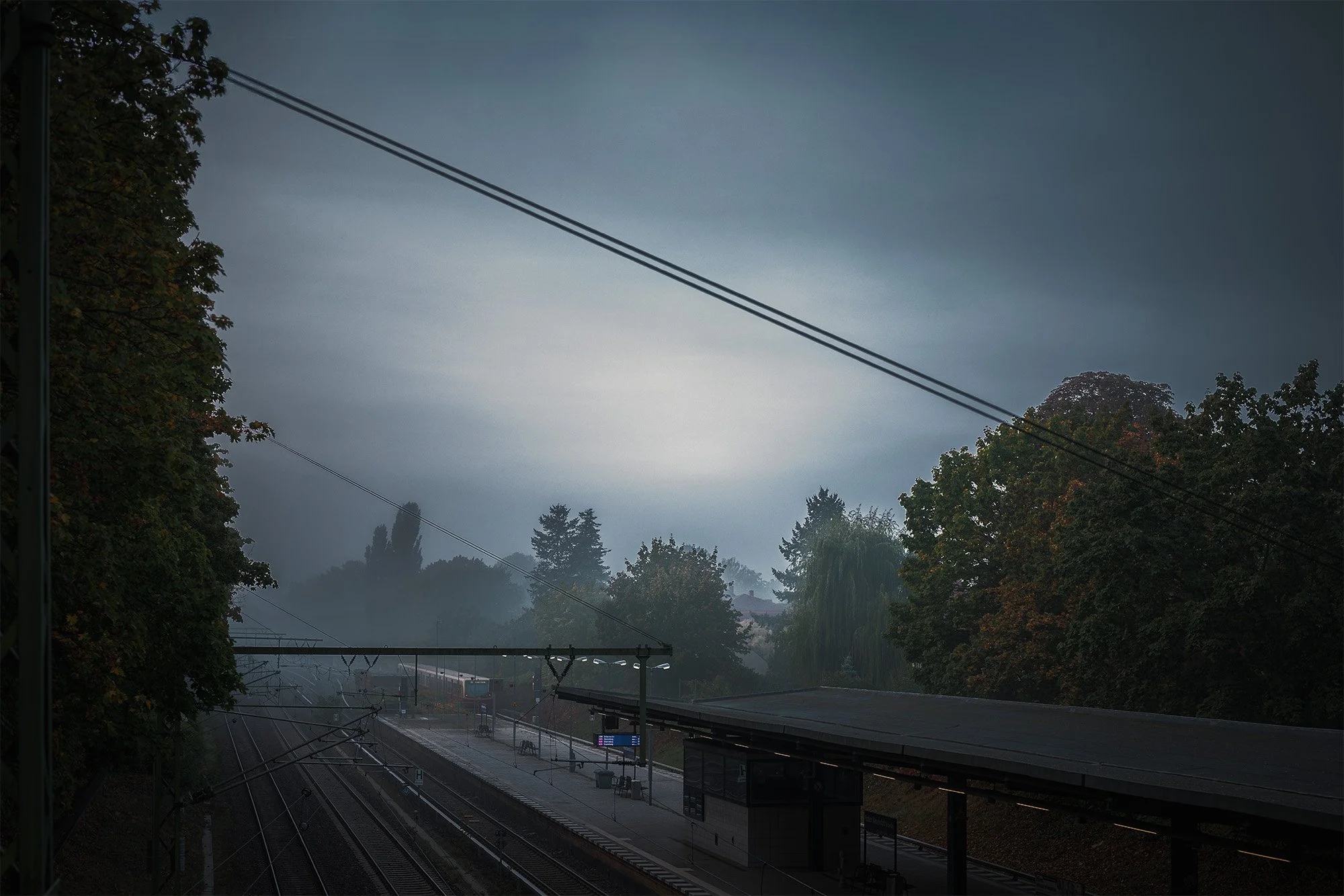 Brandenburg_HohenNeuendorf_Herbstnebel_BOLLMANN-BF_web.jpg