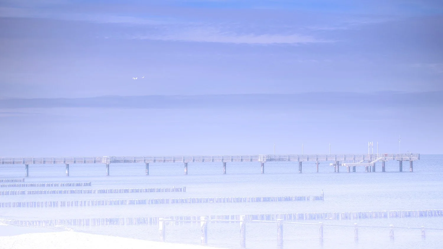 Seebrücke im winterlichen Nebel • Heiligendamm