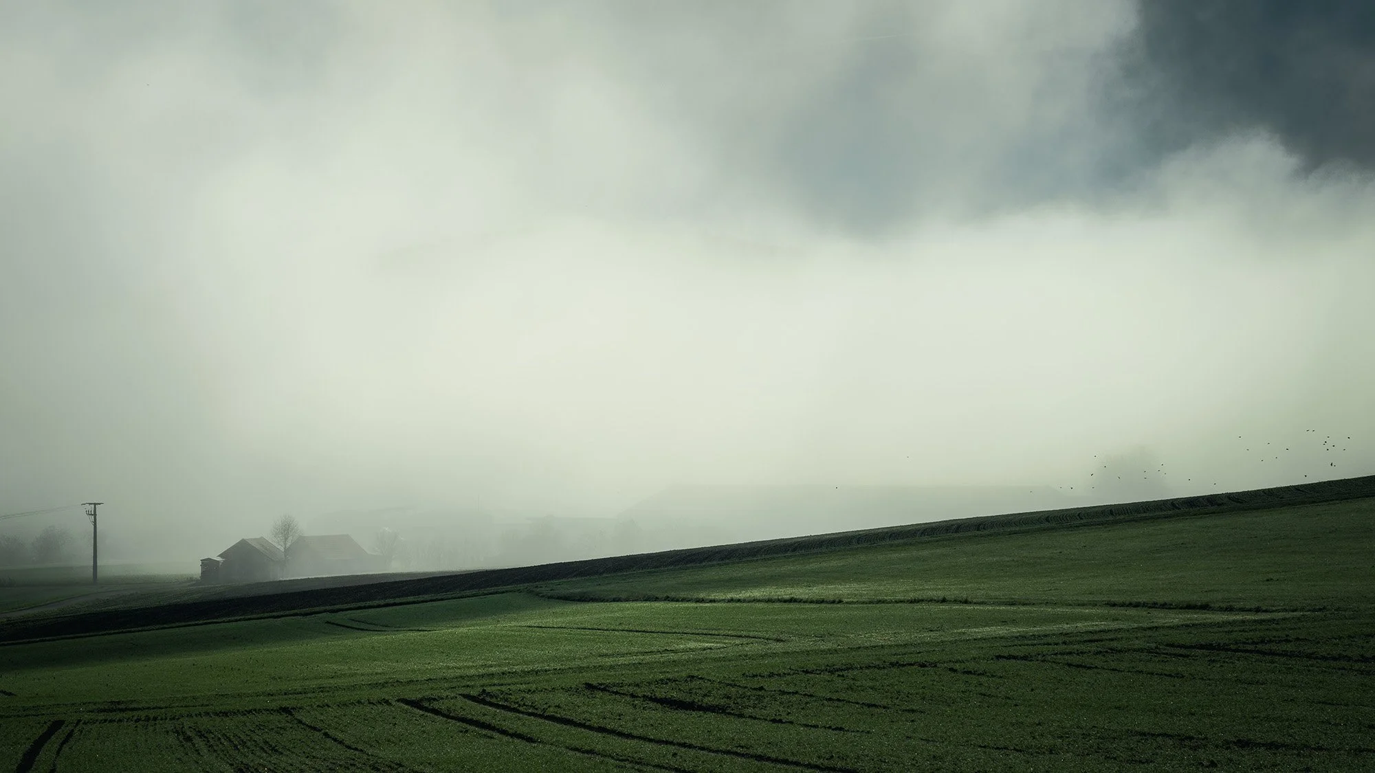 Hessen_Rhön_Hofbieber_Bauernhof_Nebel_BOLLMANN-BF_web.jpg