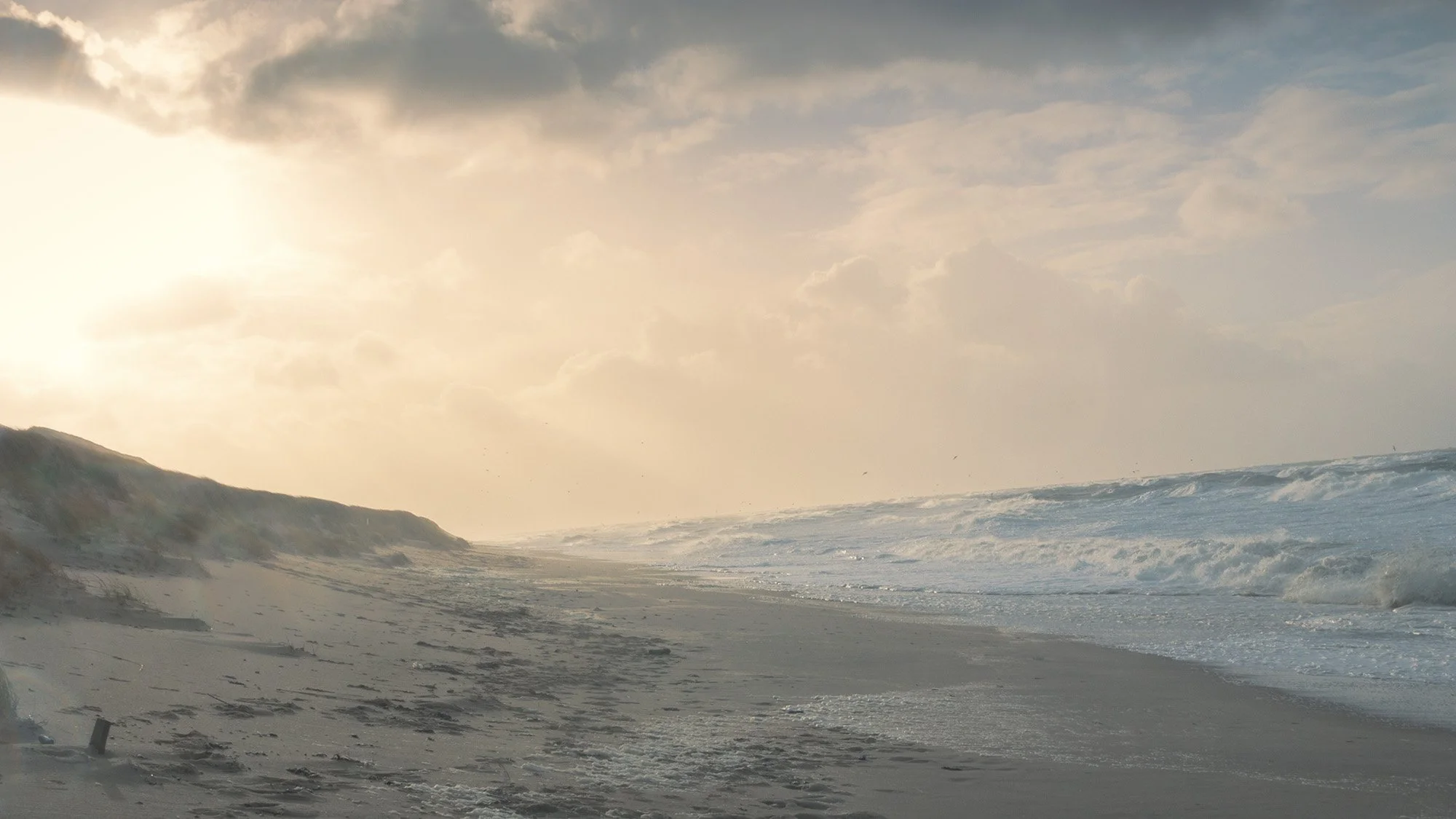 Insel Sylt, 2016