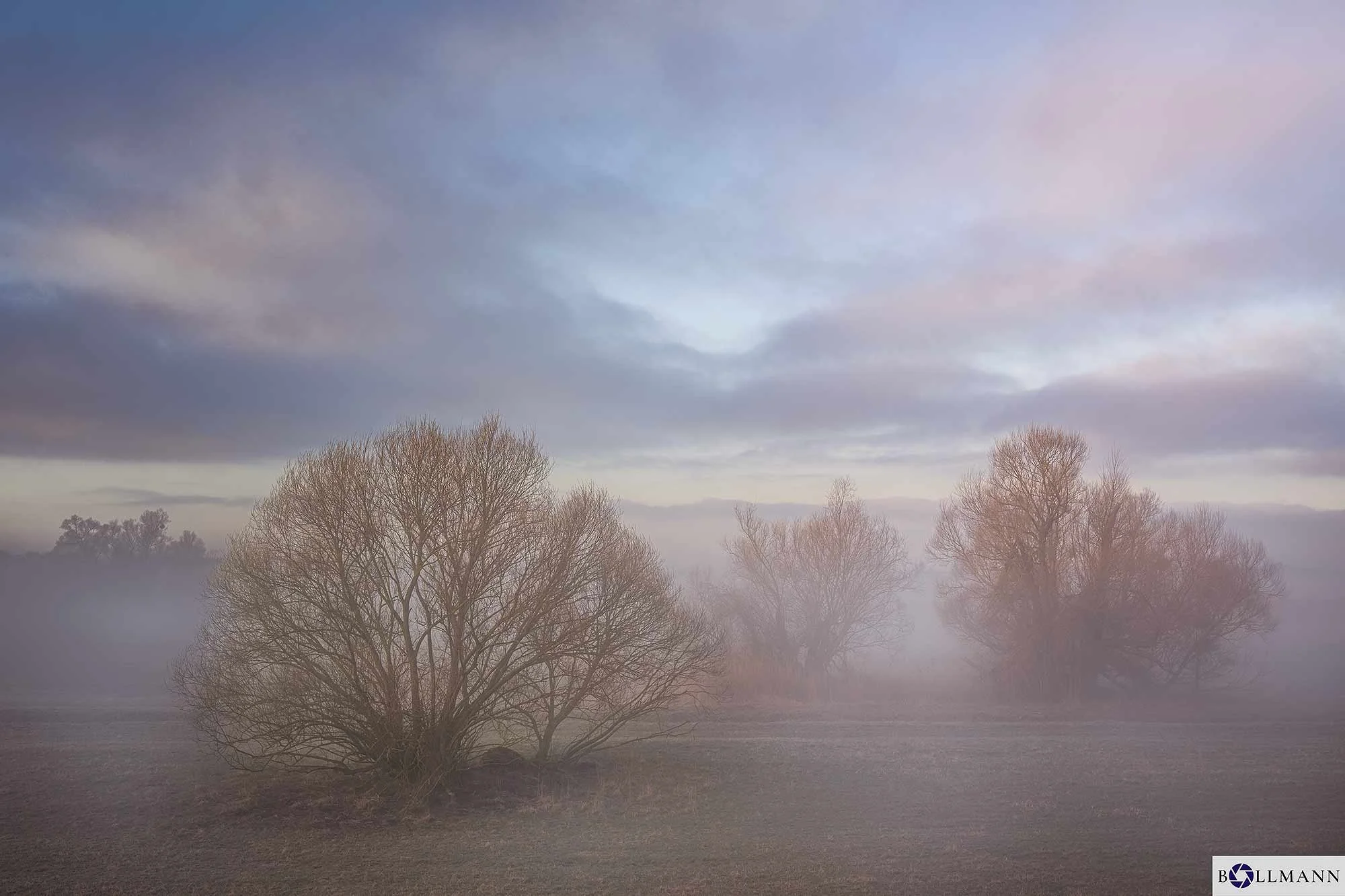 Stuetzkow_Baum_BlauerHimmel_ok_NEU_BOLLMANN-BF_web.jpg