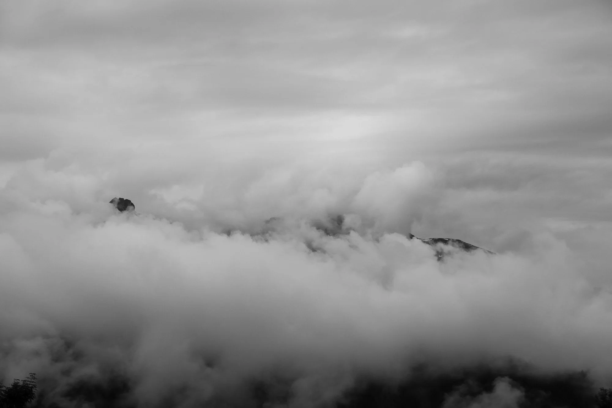Salzburger Land, 2014