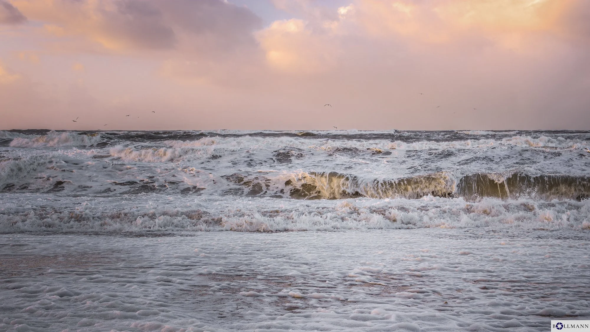 SWH_Sylt_Nordsee_StrandV1_BOLLMANN-BF_web.jpg