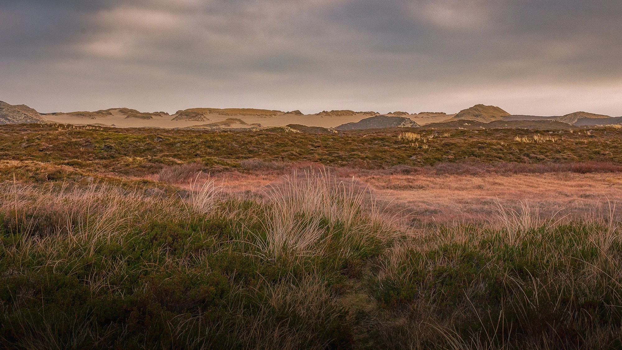 Insel Sylt, 2016