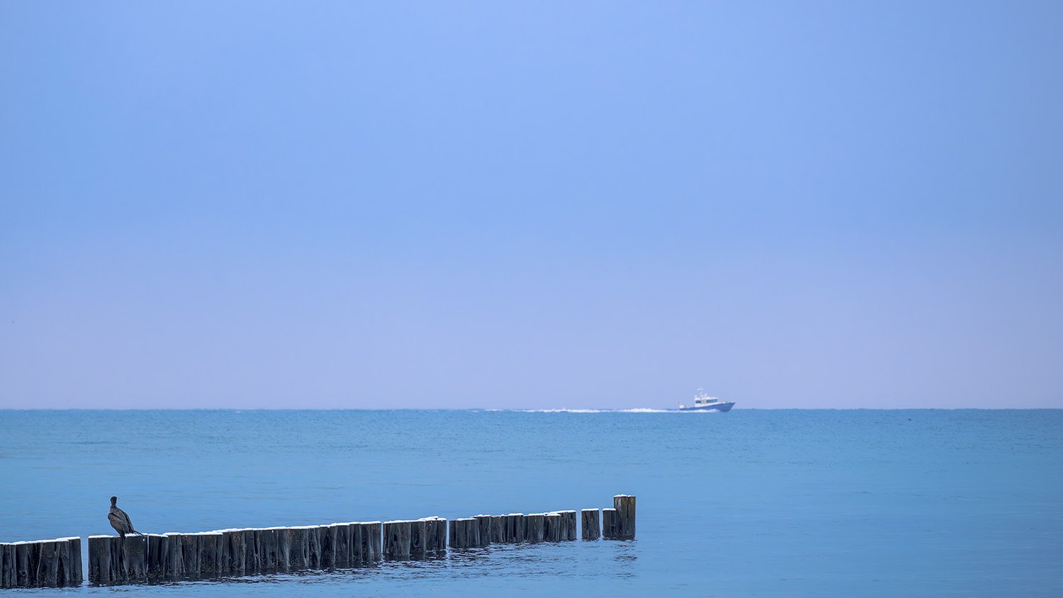 Polizeiboot im Einsatz