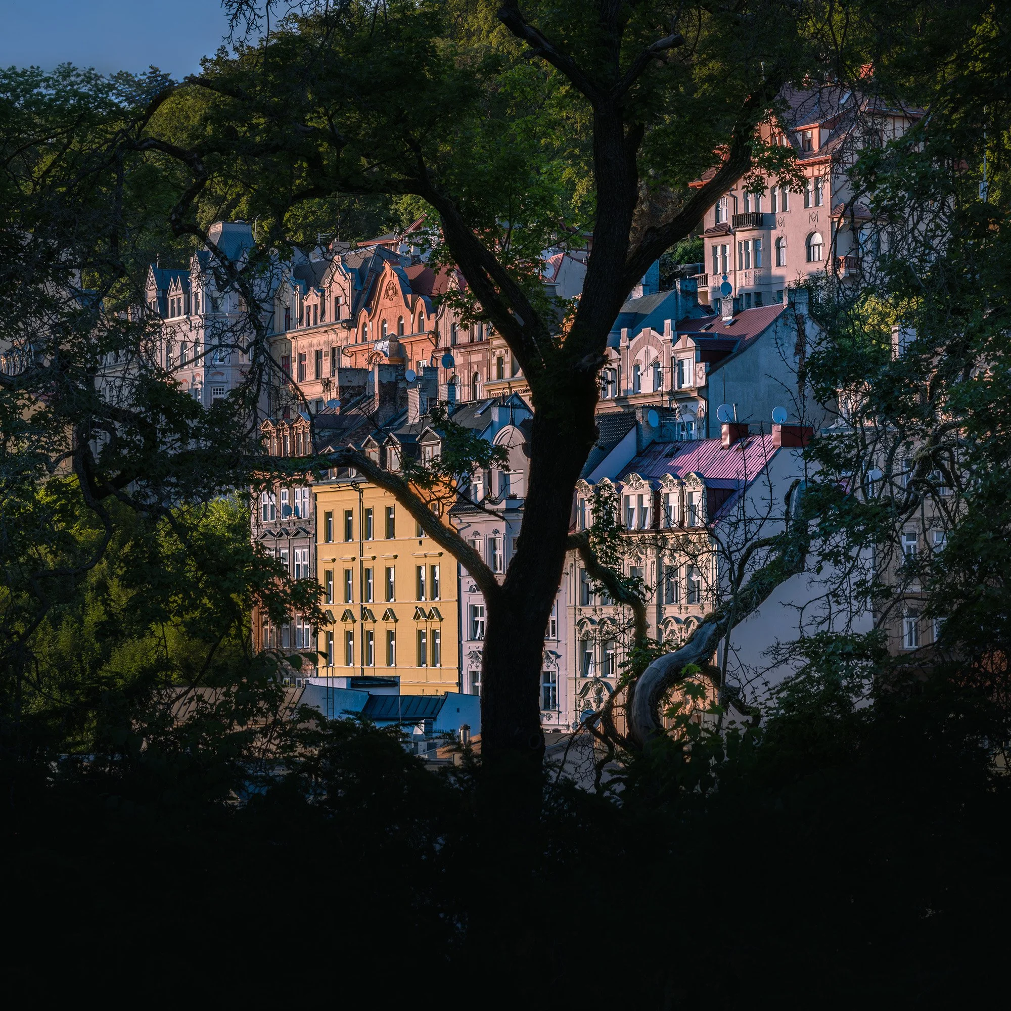 Tschechien_Karlsbad_Villenparade hinter Baum_06_2022_BOLLMANN-BF_web.jpg