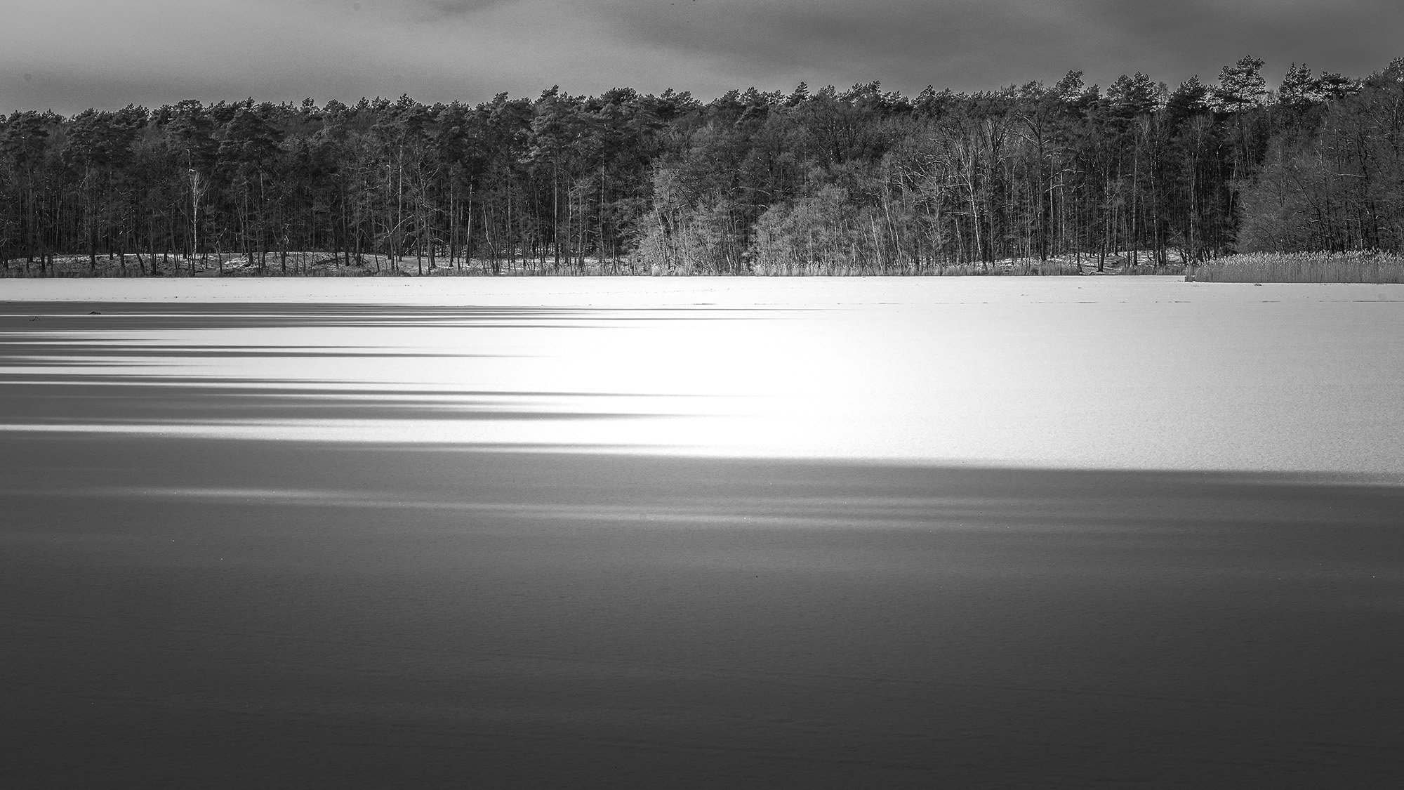 Mühlenbecker See, 2026