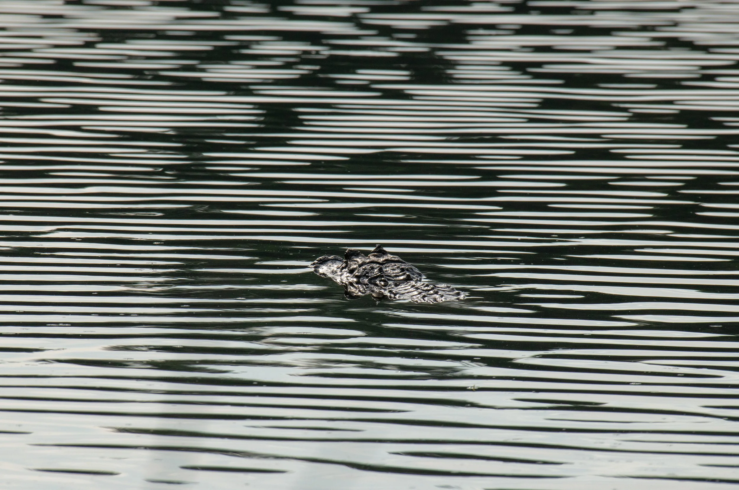 Huntsville SP-204.jpg