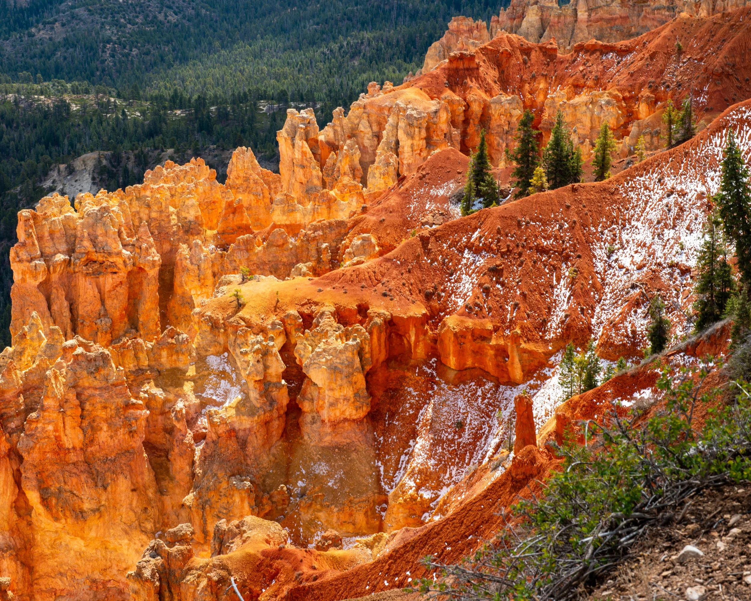 Bryce-177.jpg