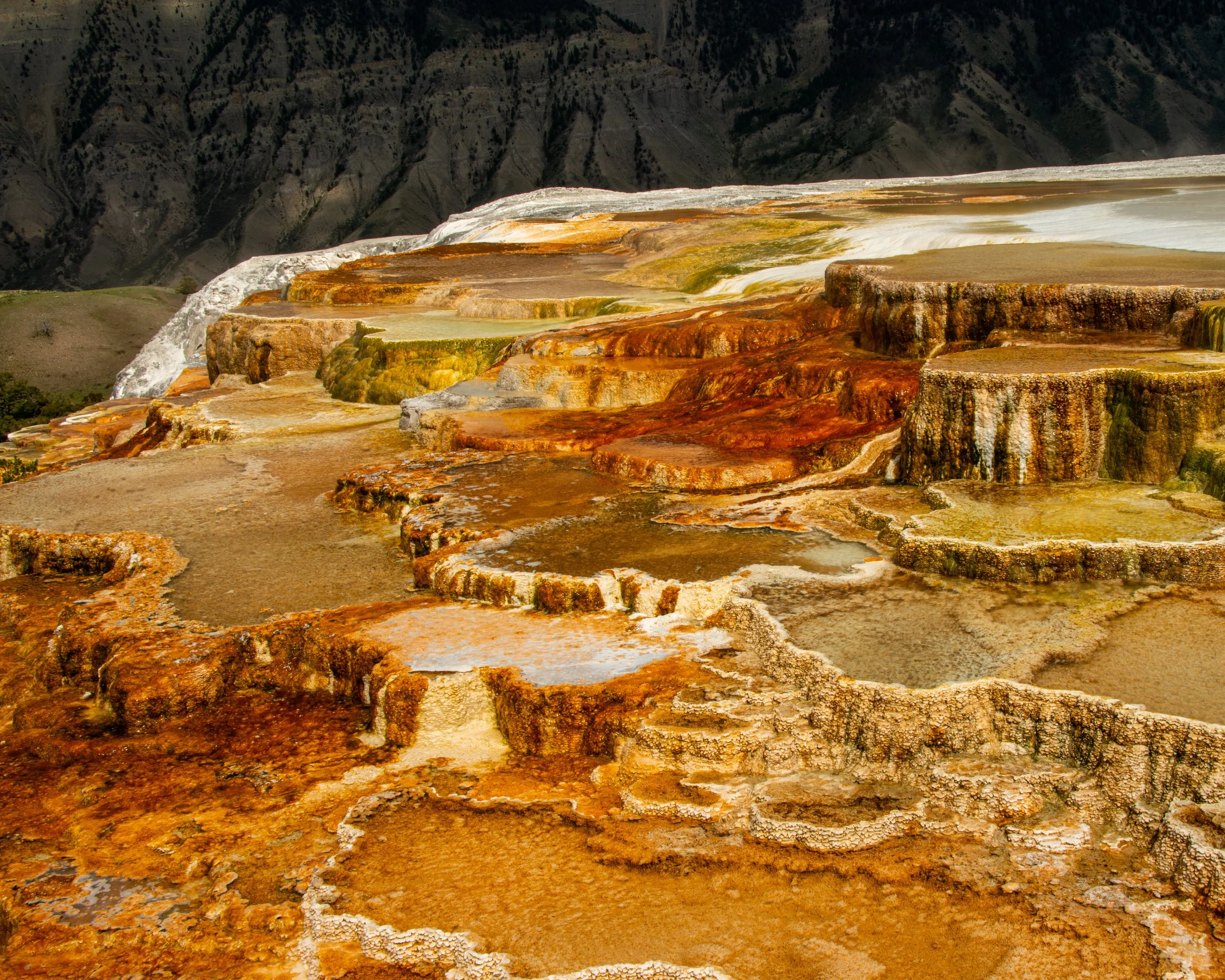 Yellowstone NP-595.jpg