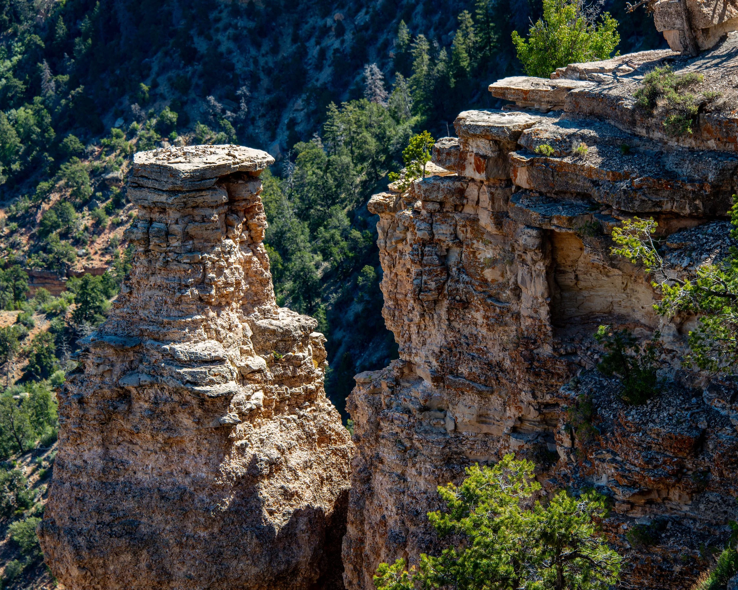 Pipe Creek Vista-632 - Copy.jpg