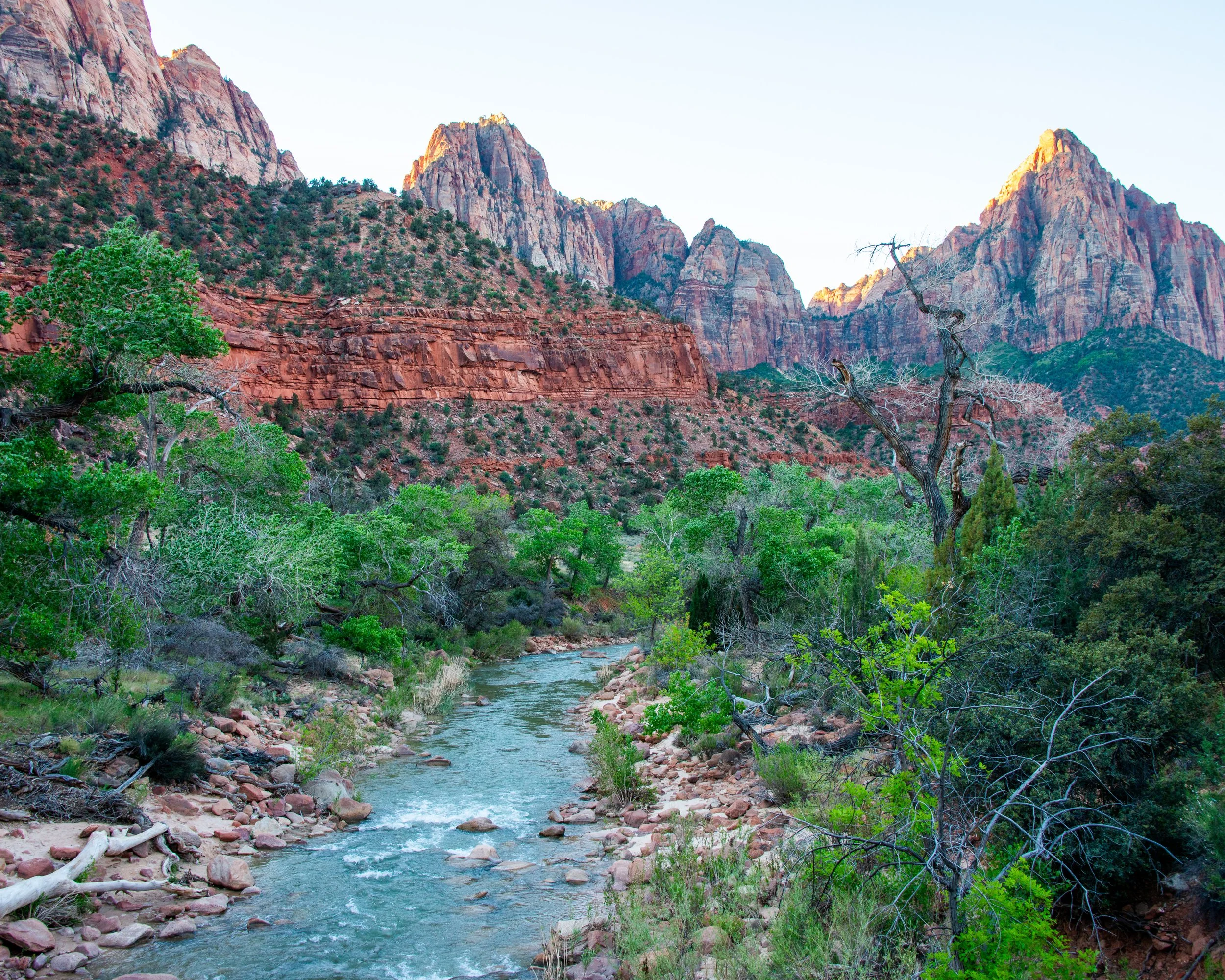 Zion-28.jpg