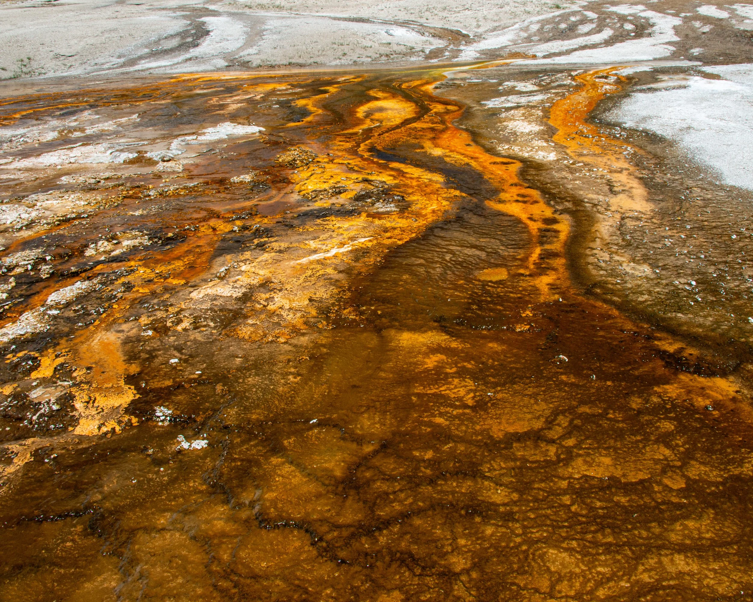 Yellowstone NP-676.jpg