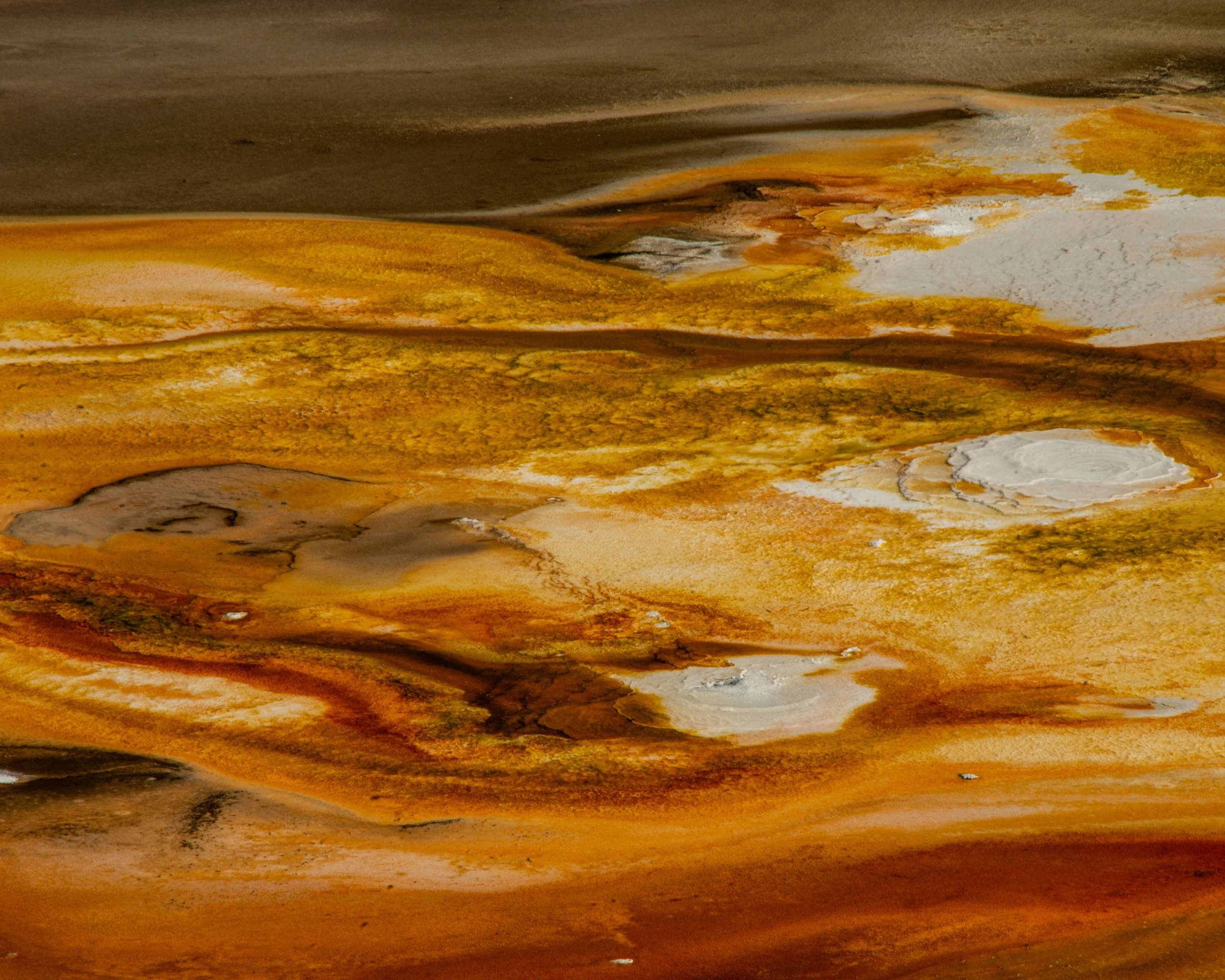Yellowstone NP-430.jpg