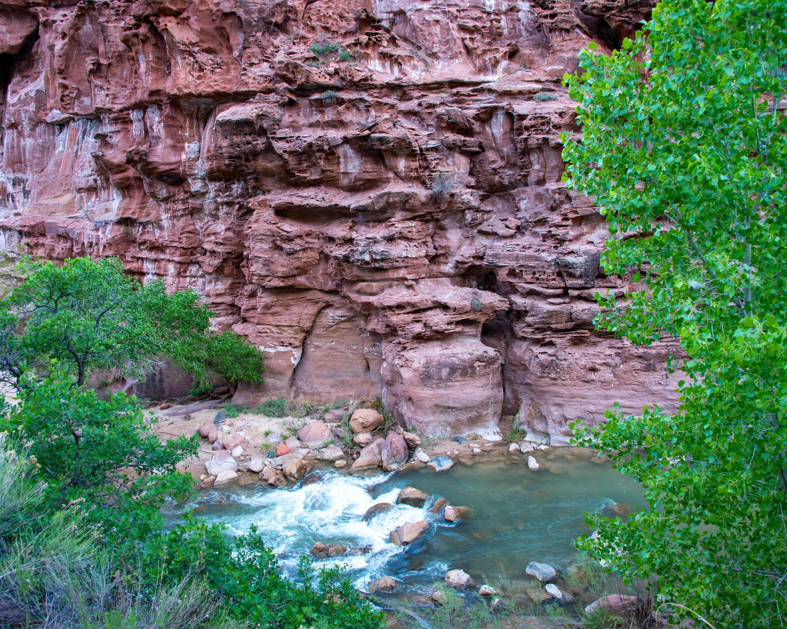 Zion-61.jpg
