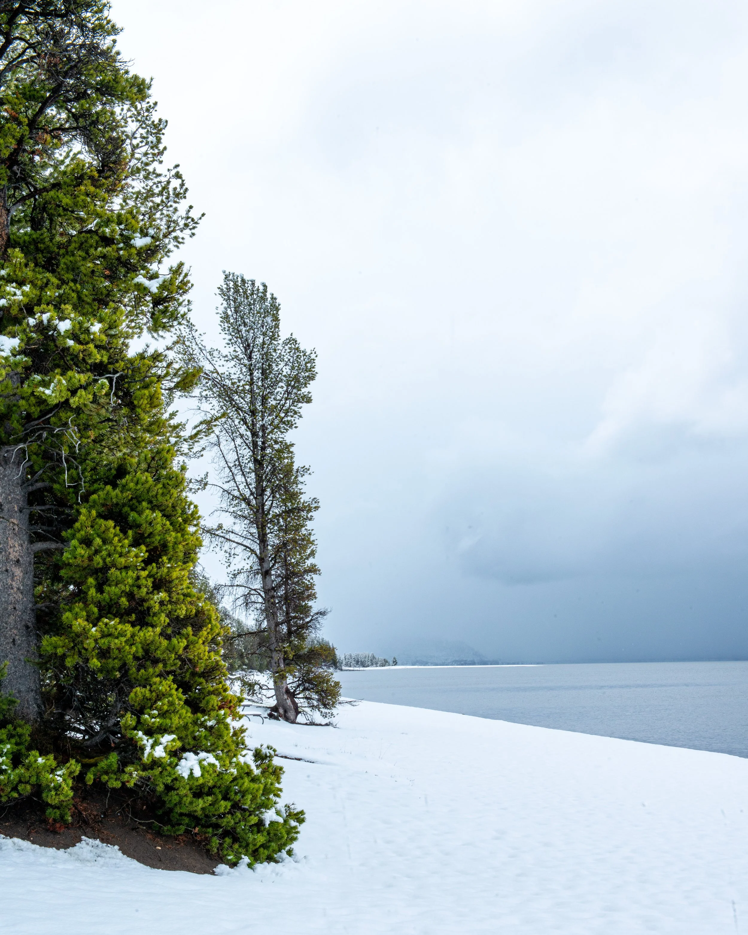 Yellowstone NP-40.jpg