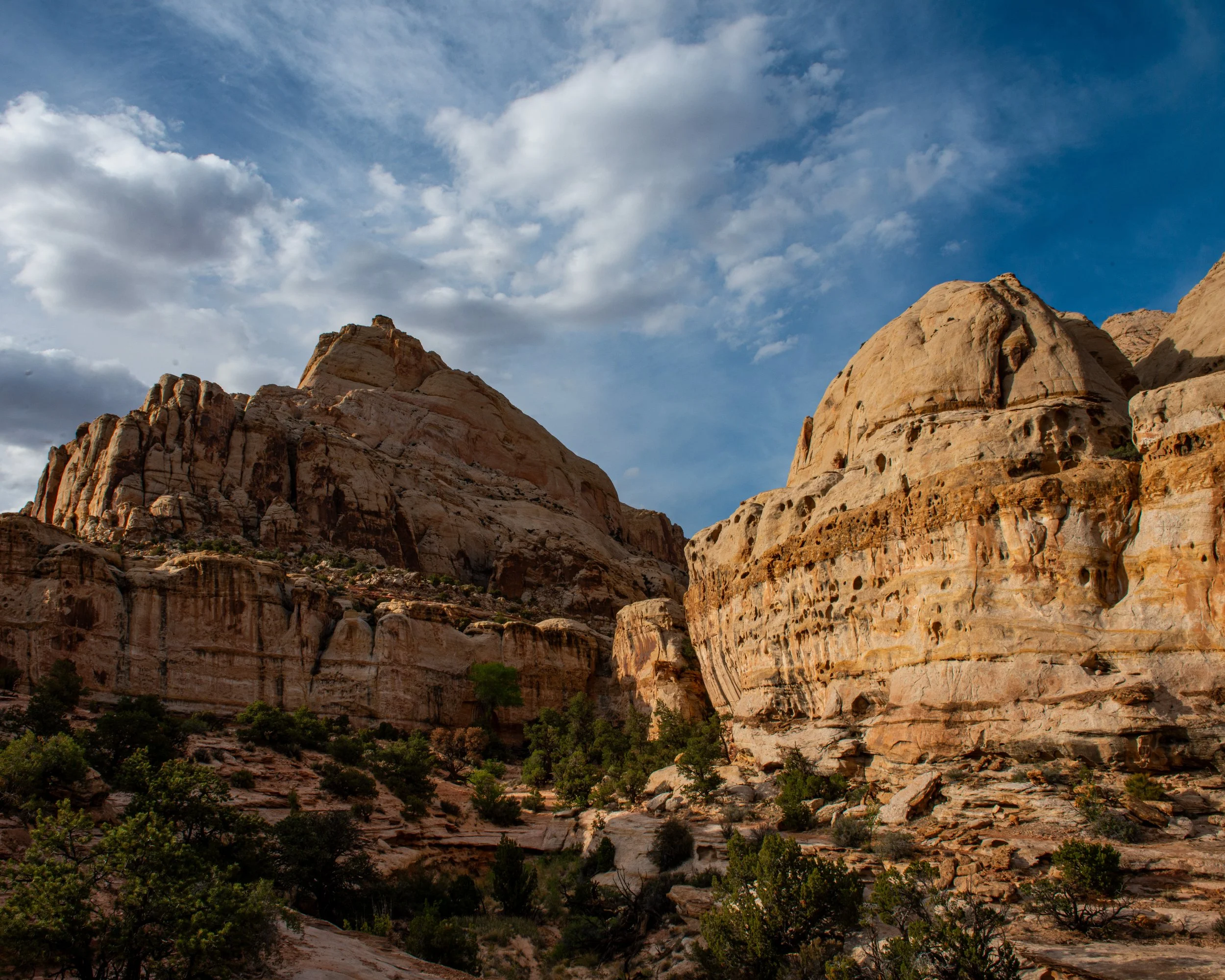 Capitol Reef-68.jpg