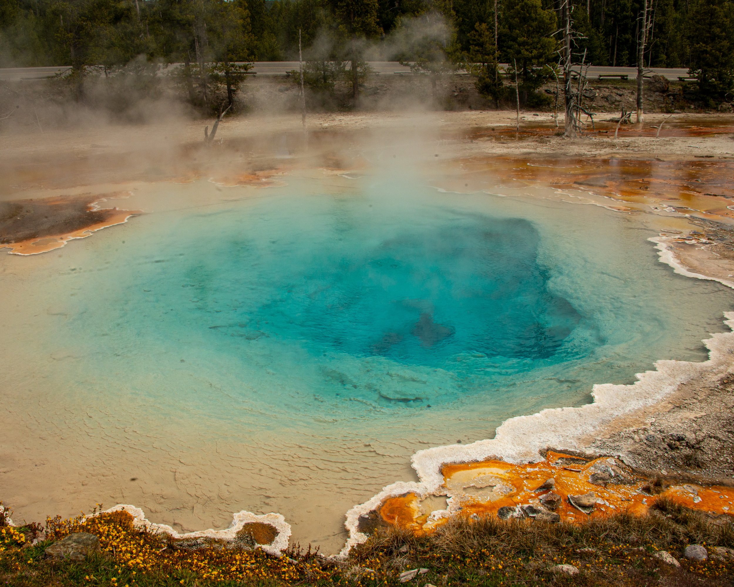 Yellowstone NP-278.jpg