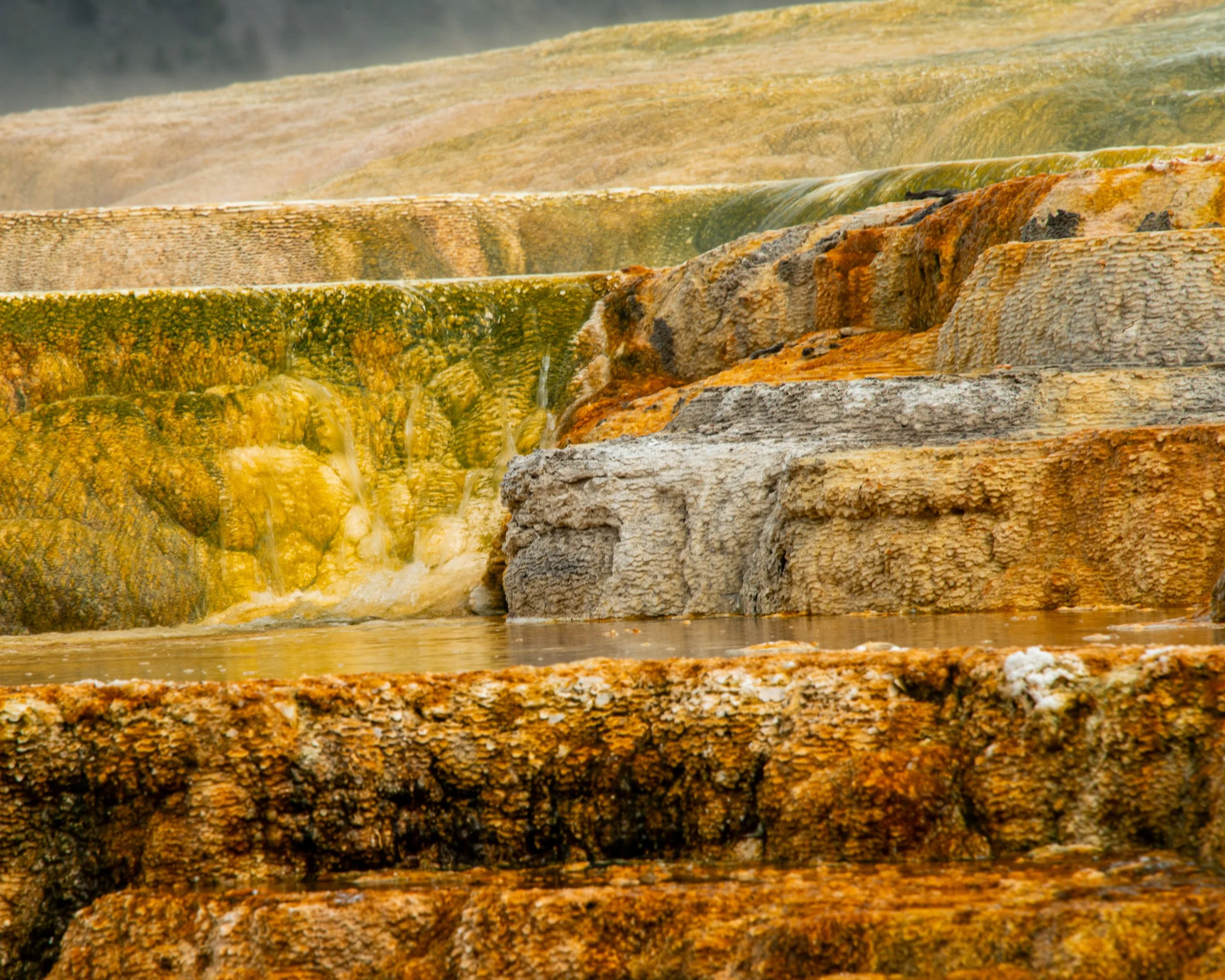 Yellowstone NP-569.jpg