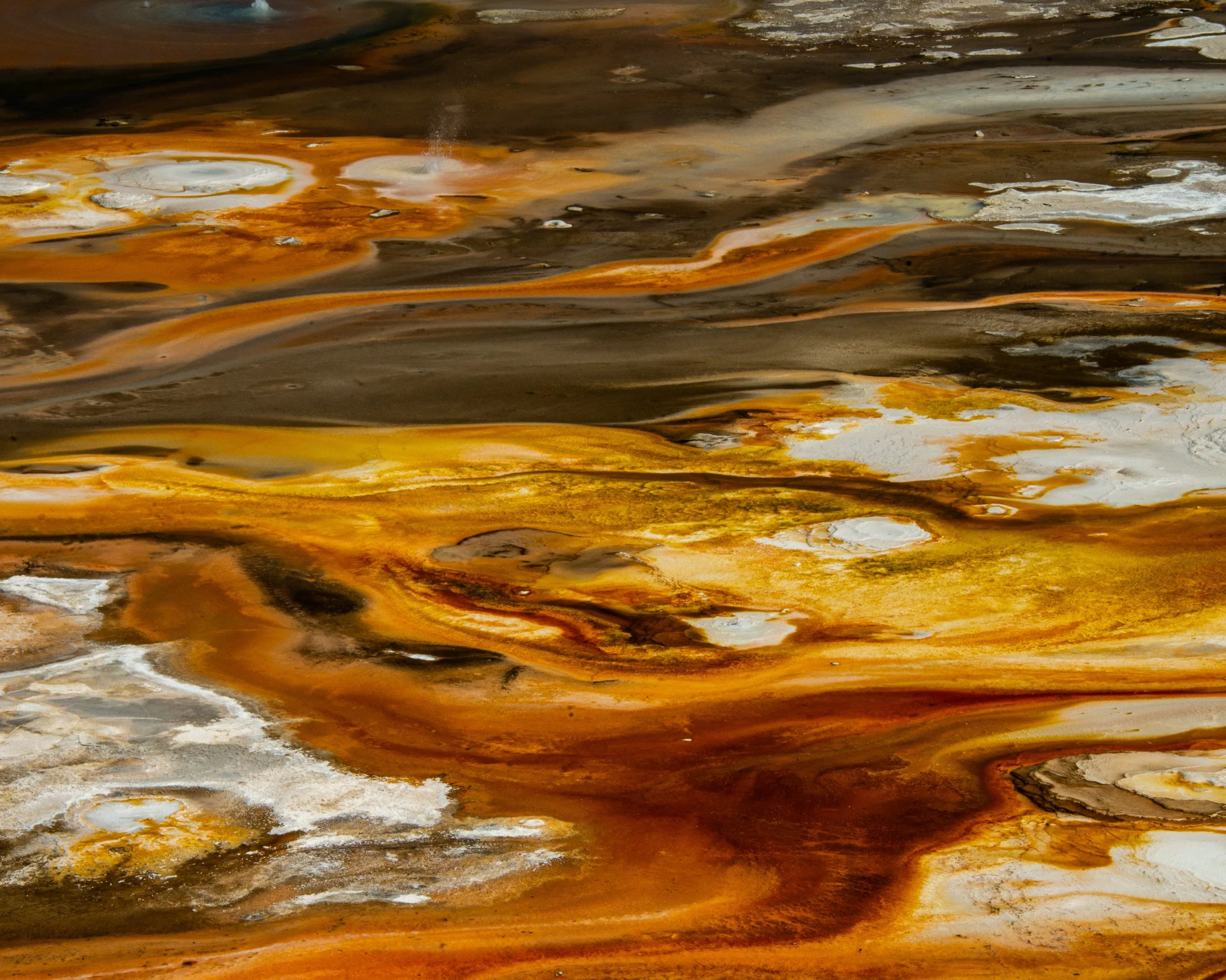 Yellowstone NP-431.jpg