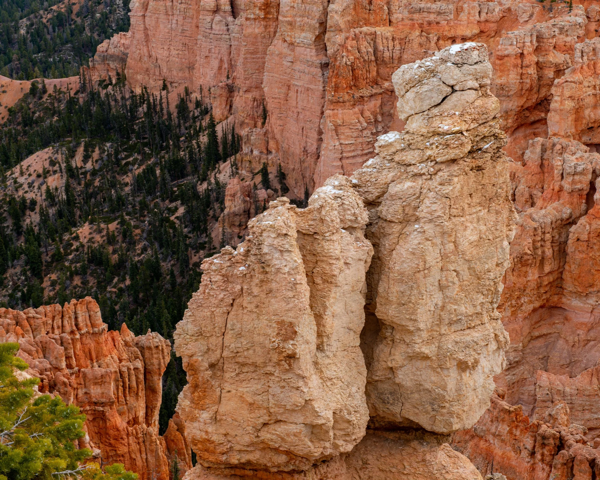Bryce-104.jpg