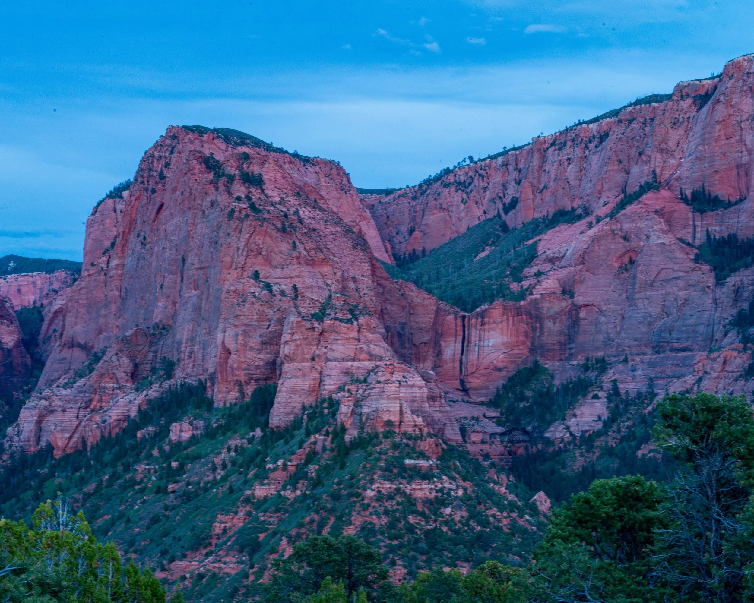 Zion-417.jpg