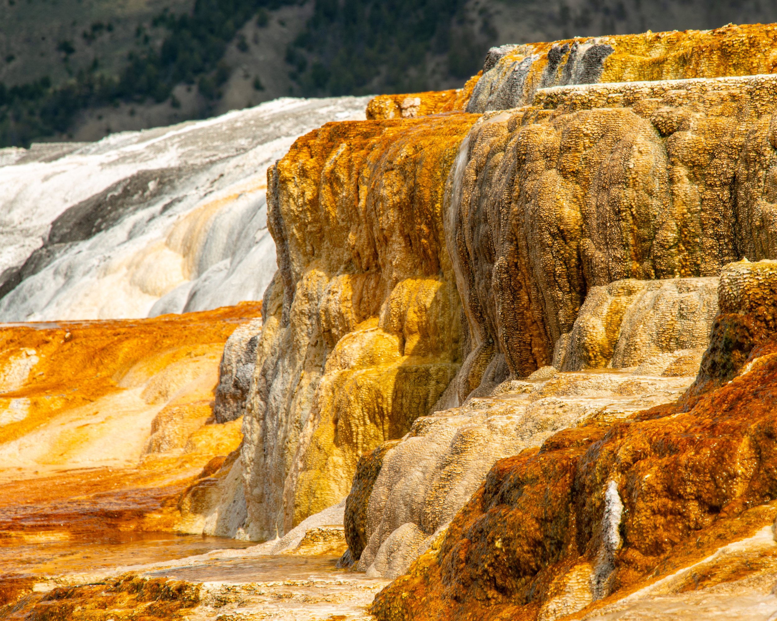 Yellowstone NP-577.jpg