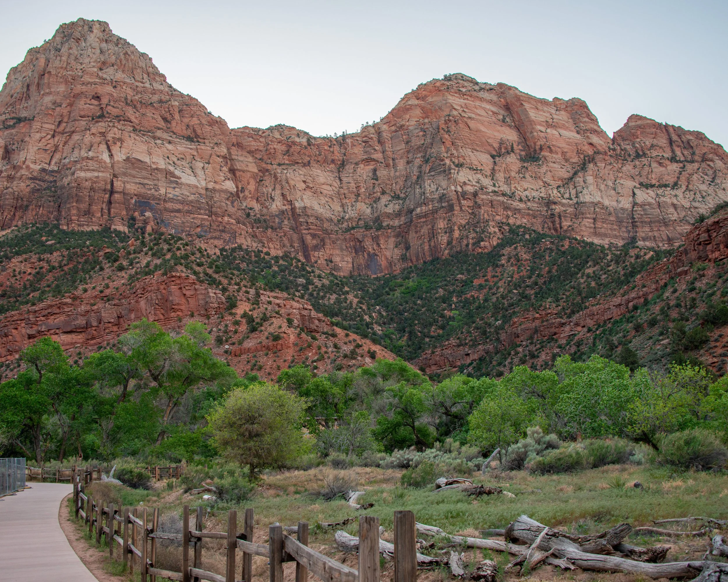 Zion-8.jpg