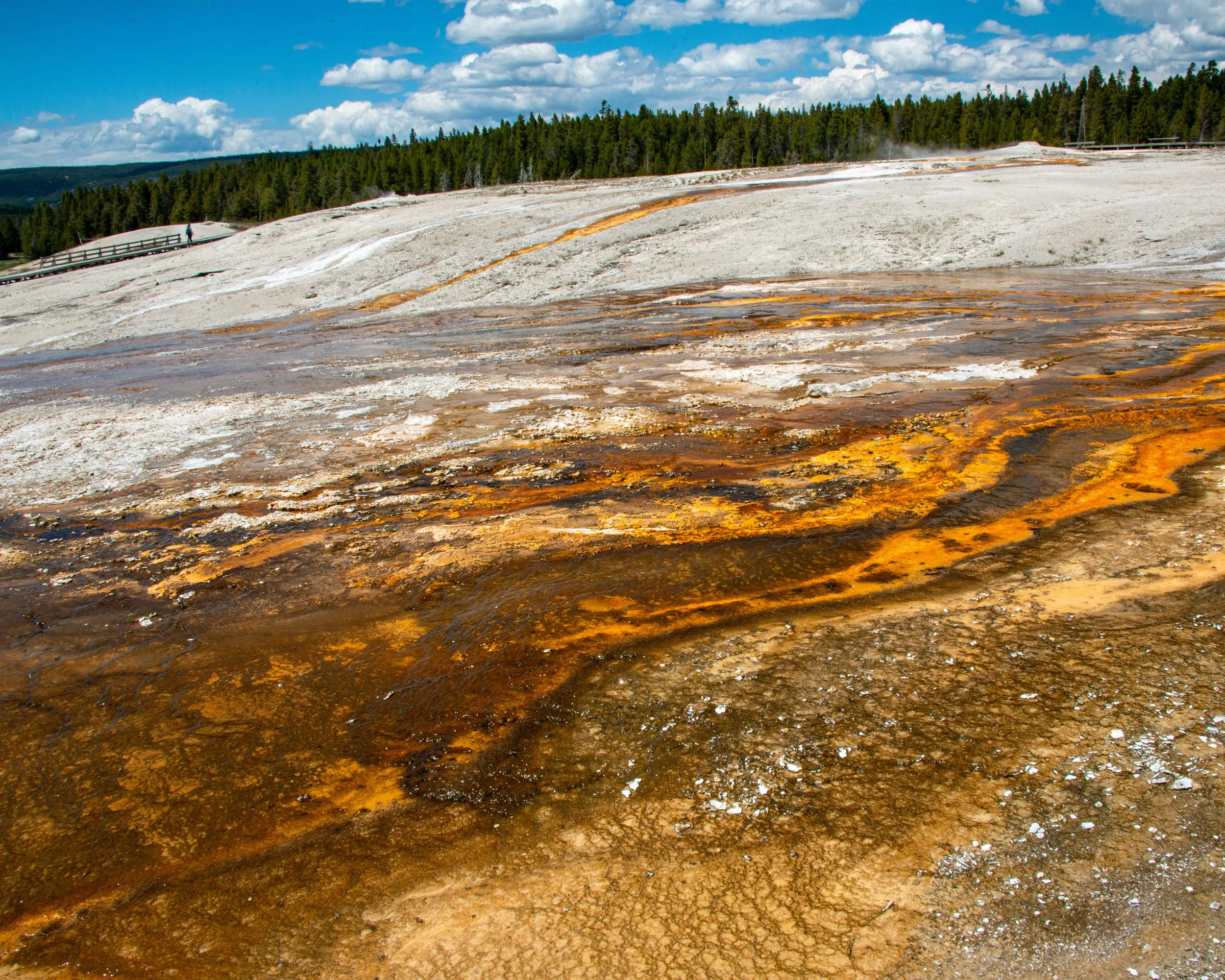 Yellowstone NP-675.jpg