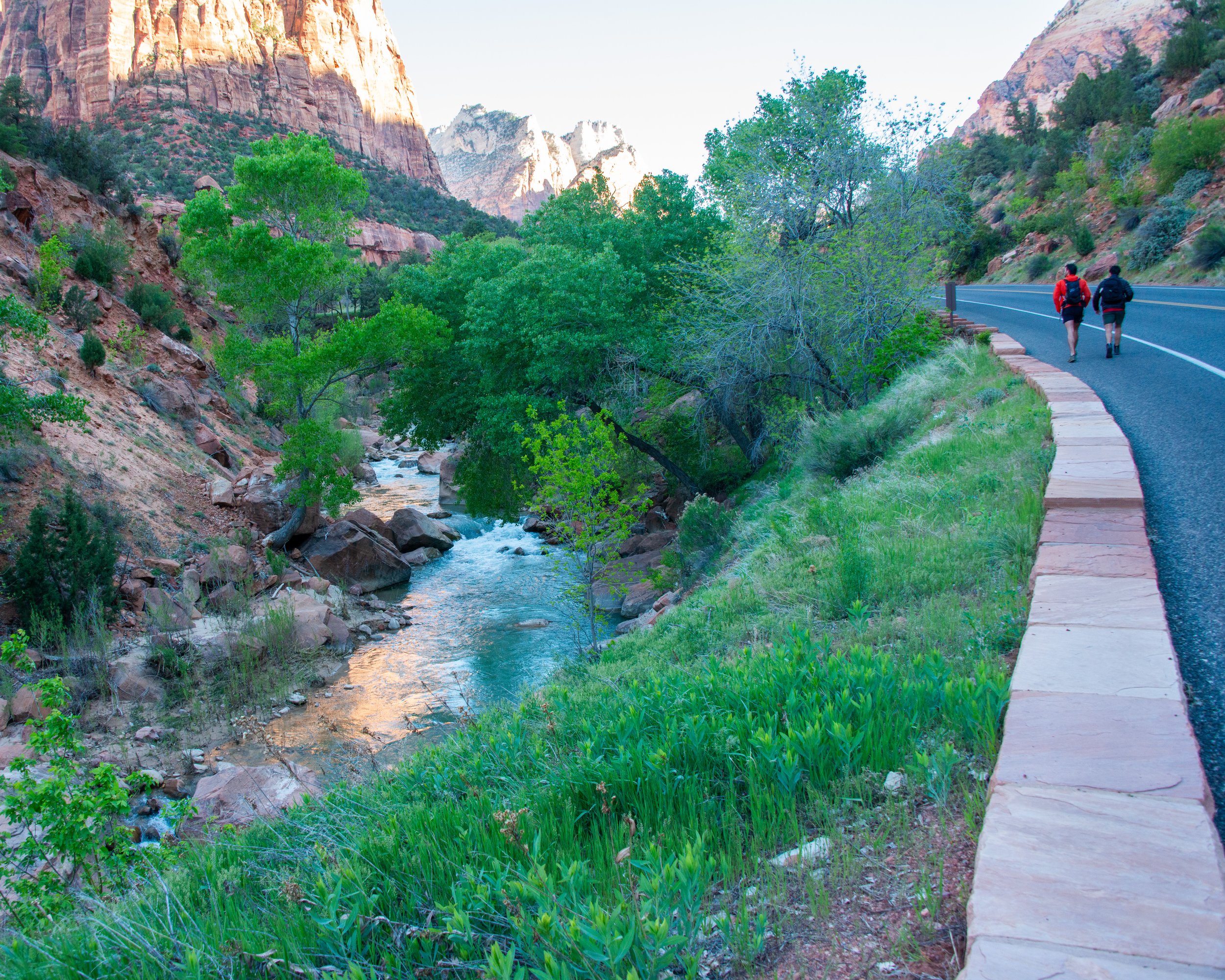 Zion-72.jpg