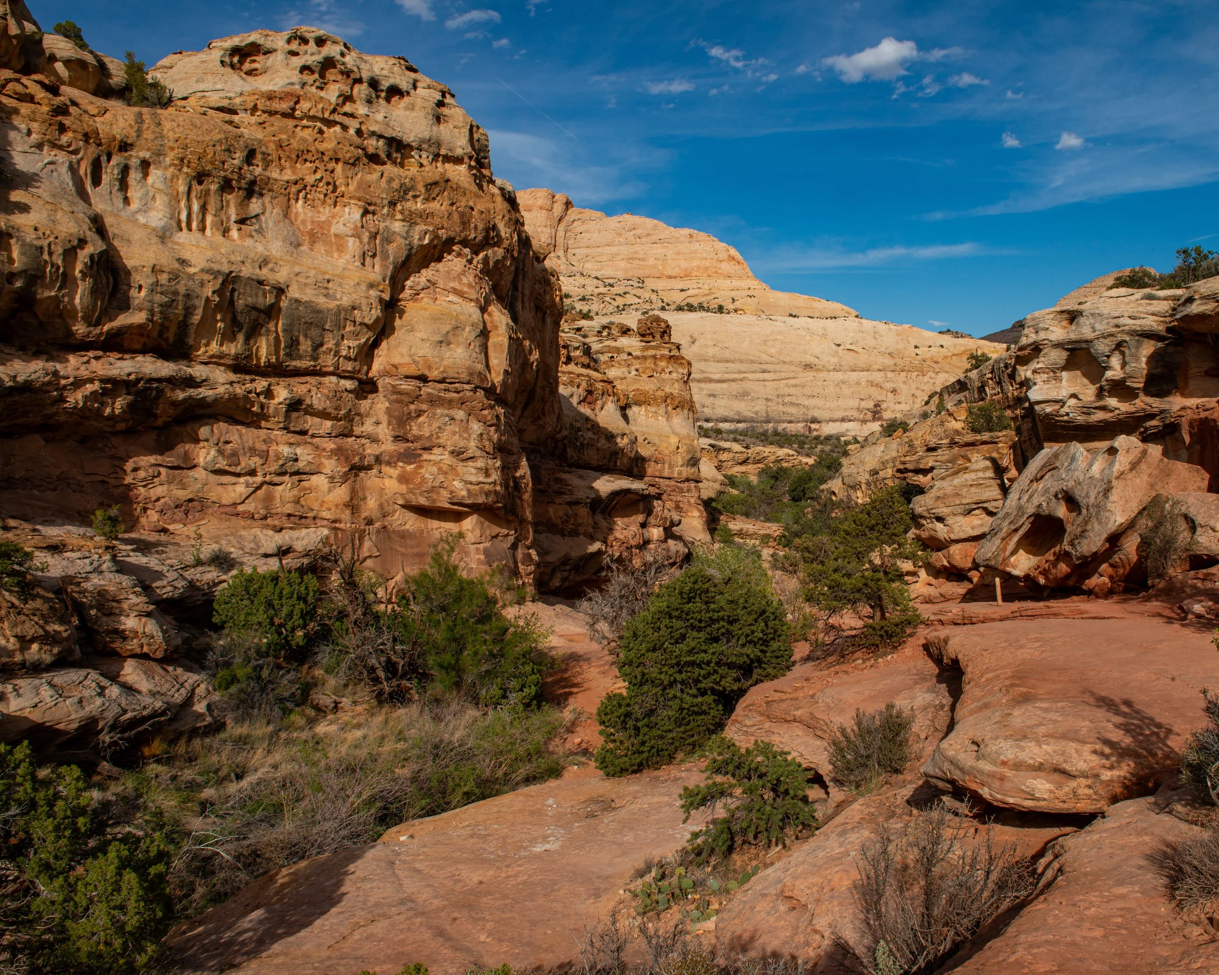Capitol Reef-38.jpg