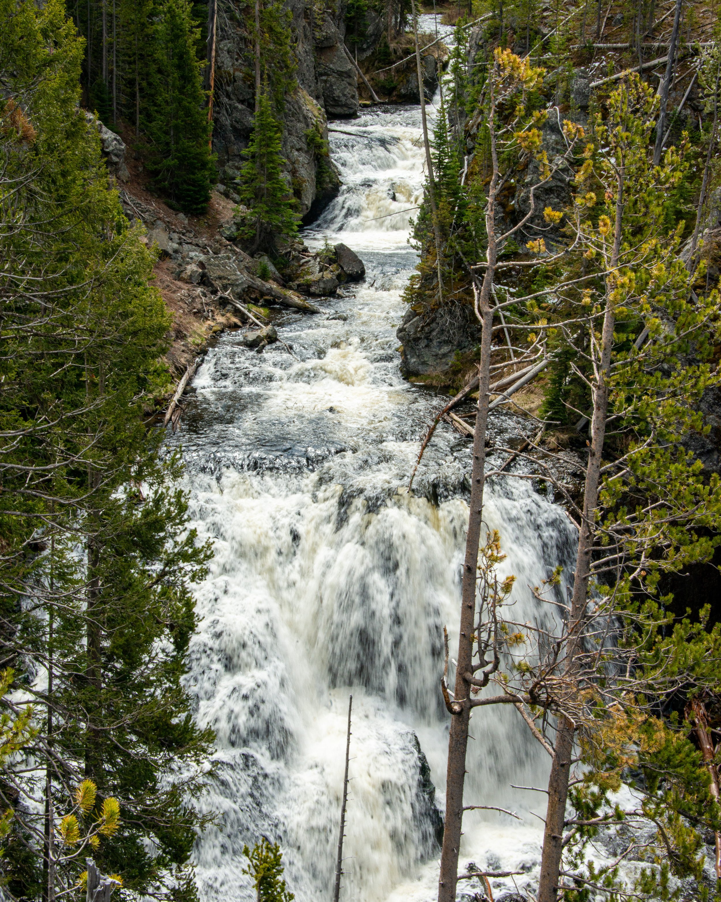 Yellowstone NP-178.jpg