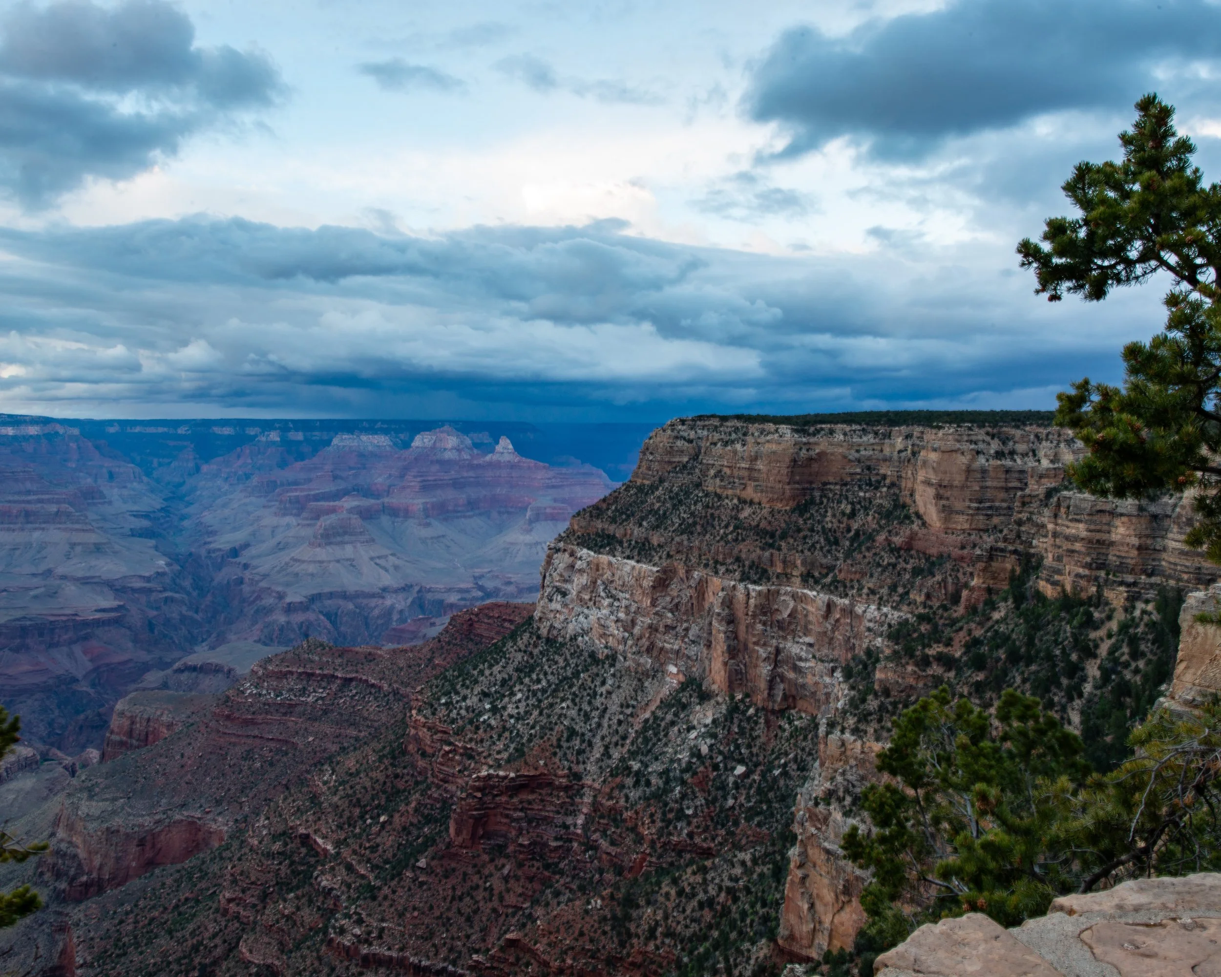 Rim Trail 5-6-25-157.jpg