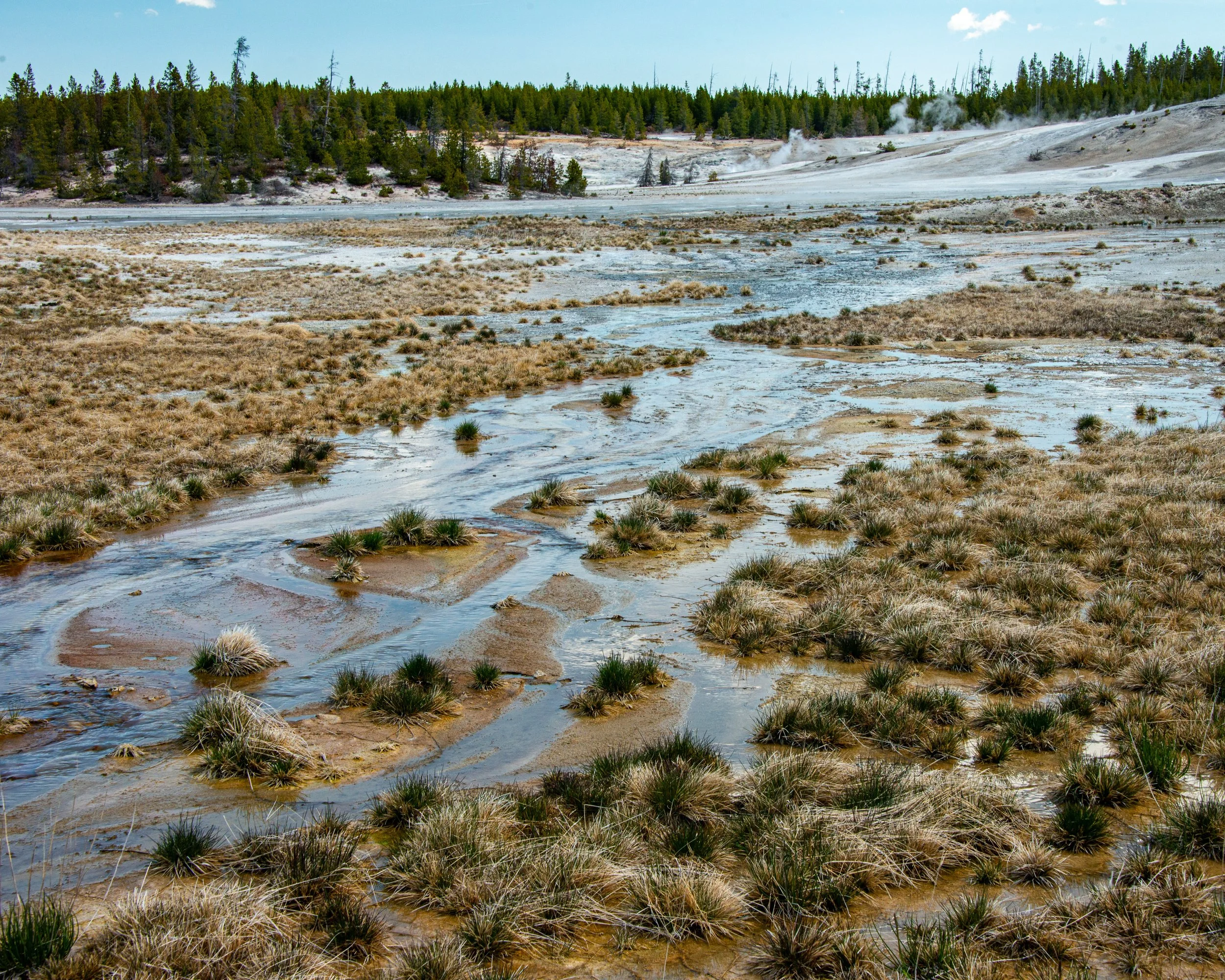 Yellowstone NP-446.jpg