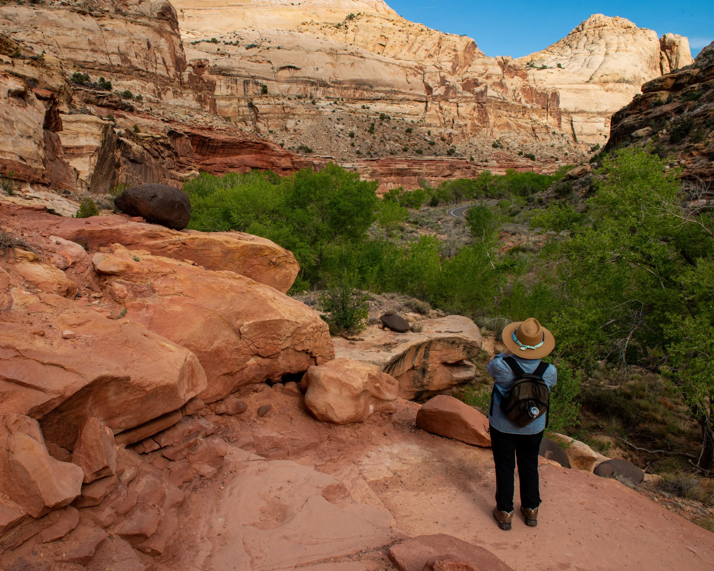 Capitol Reef-10.jpg