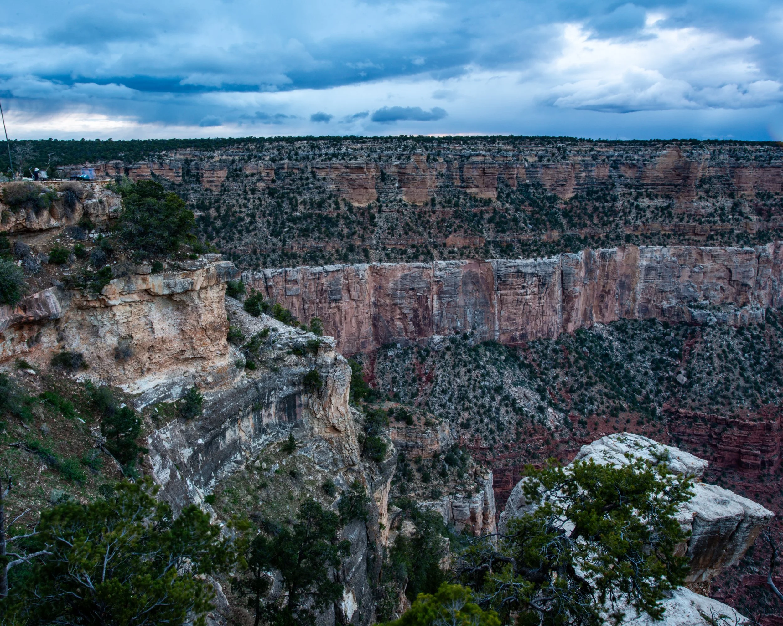 Rim Trail 5-6-25-159.jpg