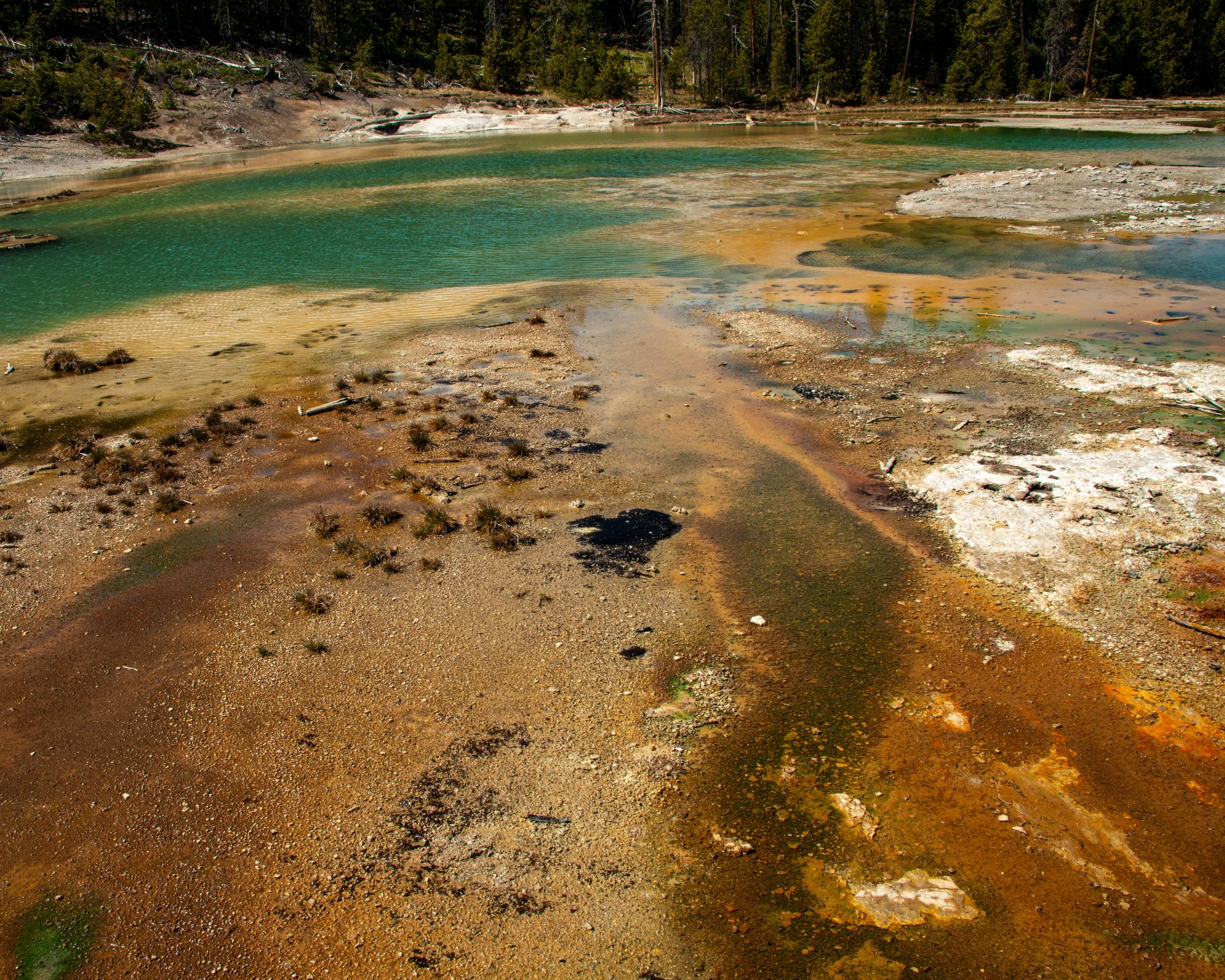 Yellowstone NP-462.jpg