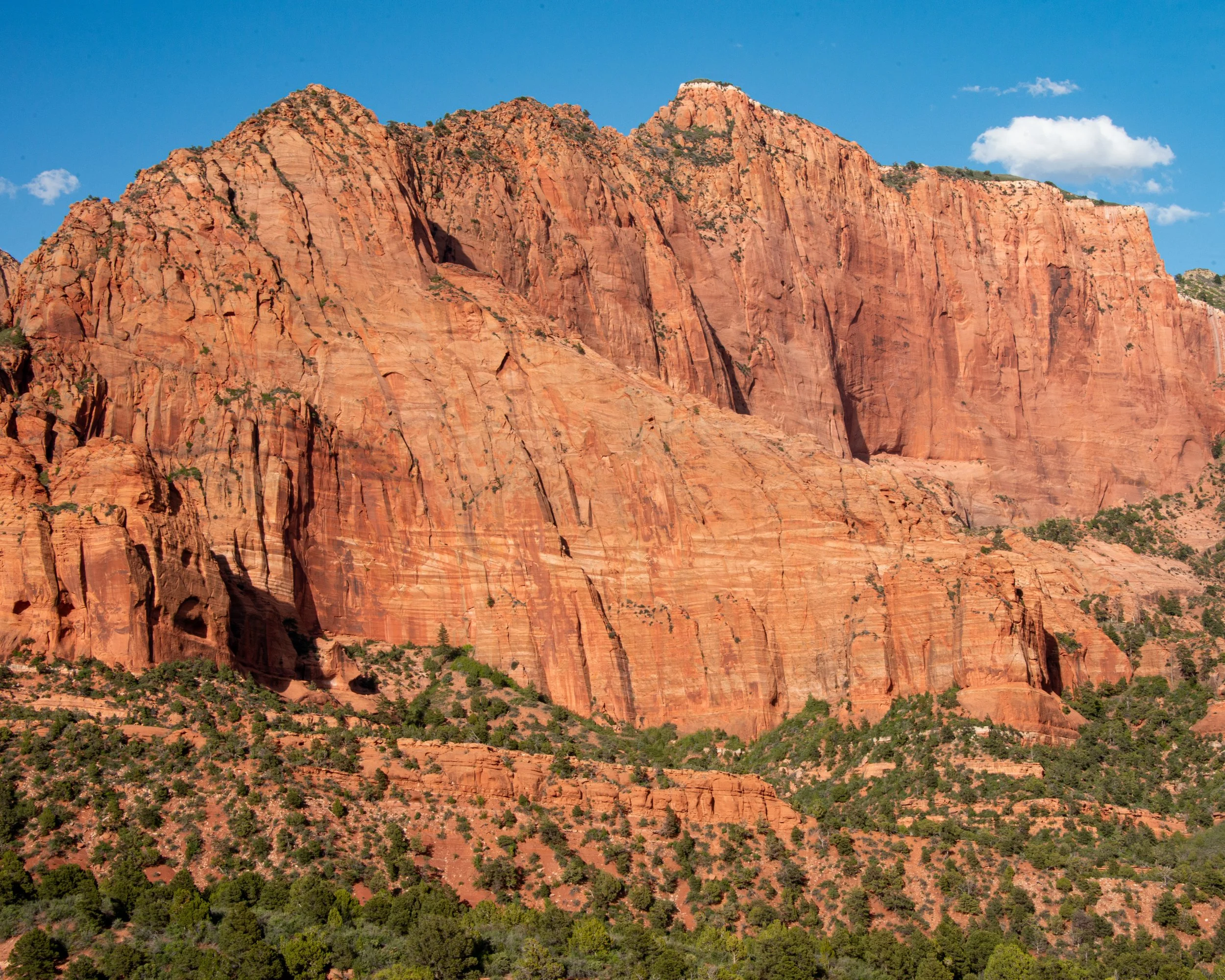 Zion-238.jpg