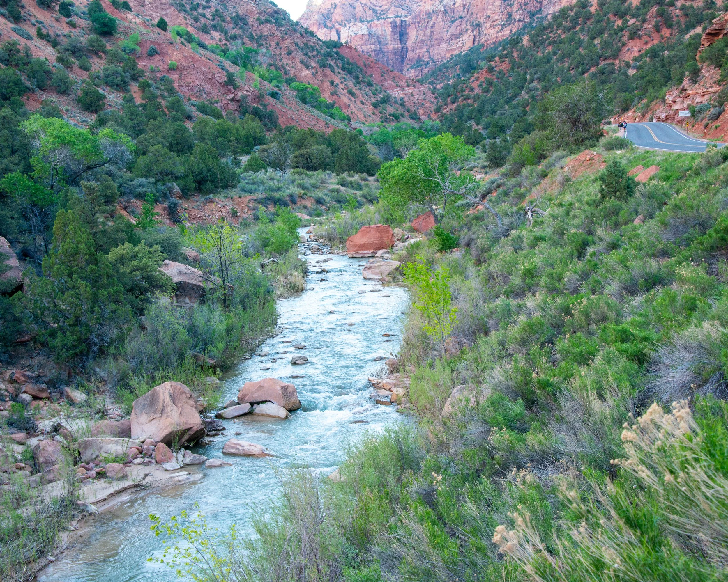 Zion-59.jpg