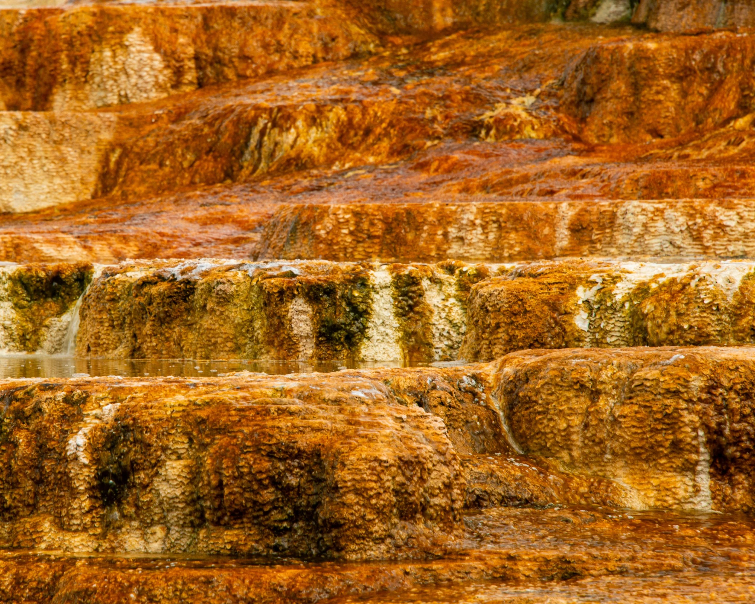 Yellowstone NP-567.jpg