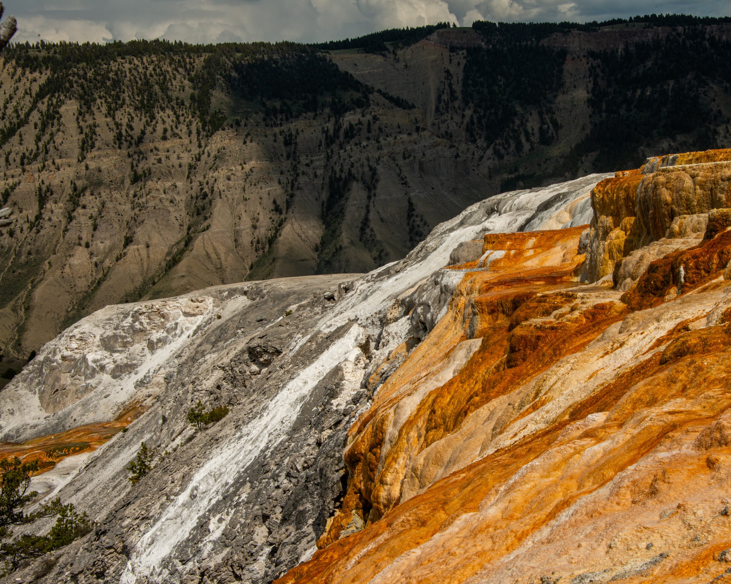 Yellowstone NP-583.jpg