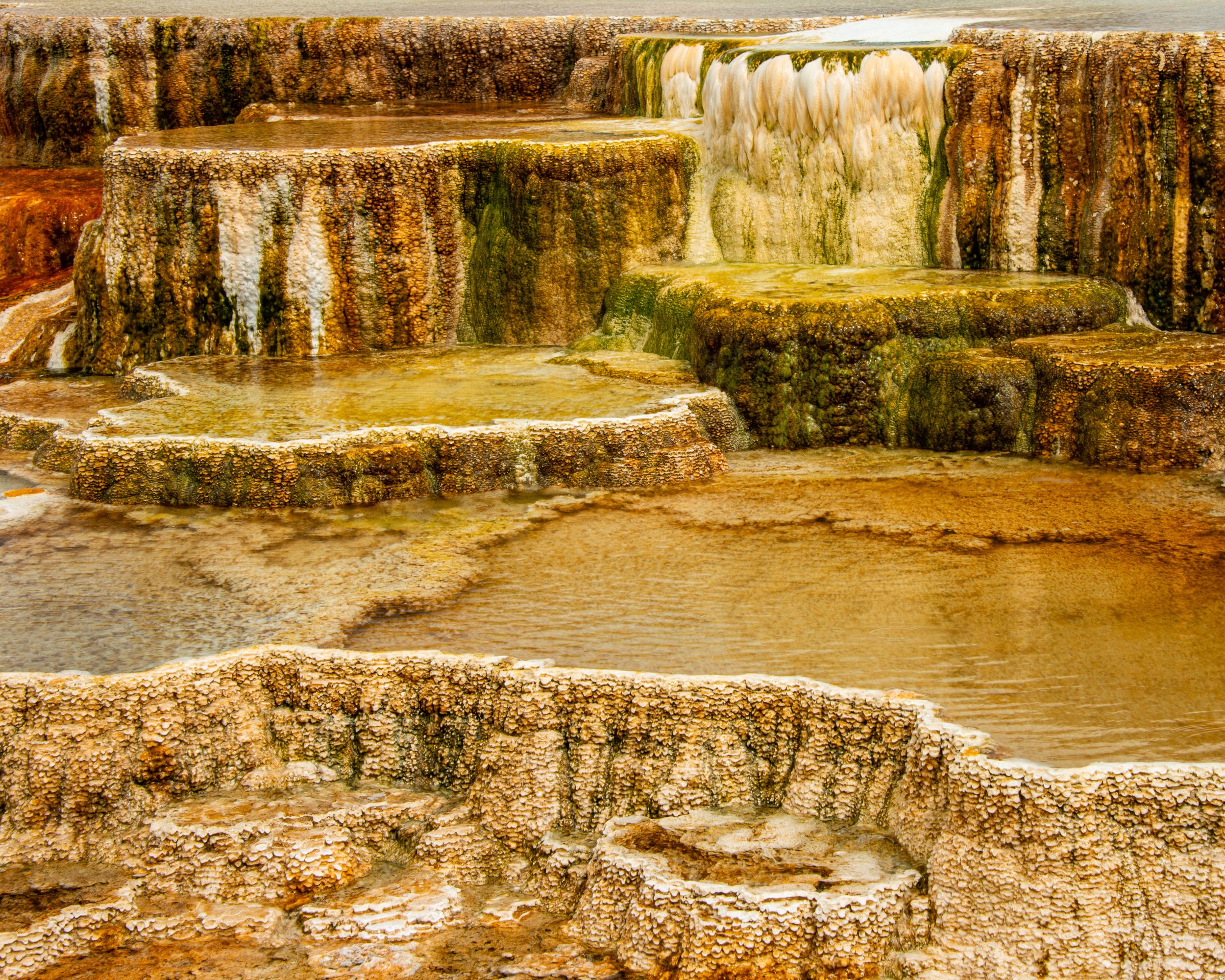 Yellowstone NP-562.jpg