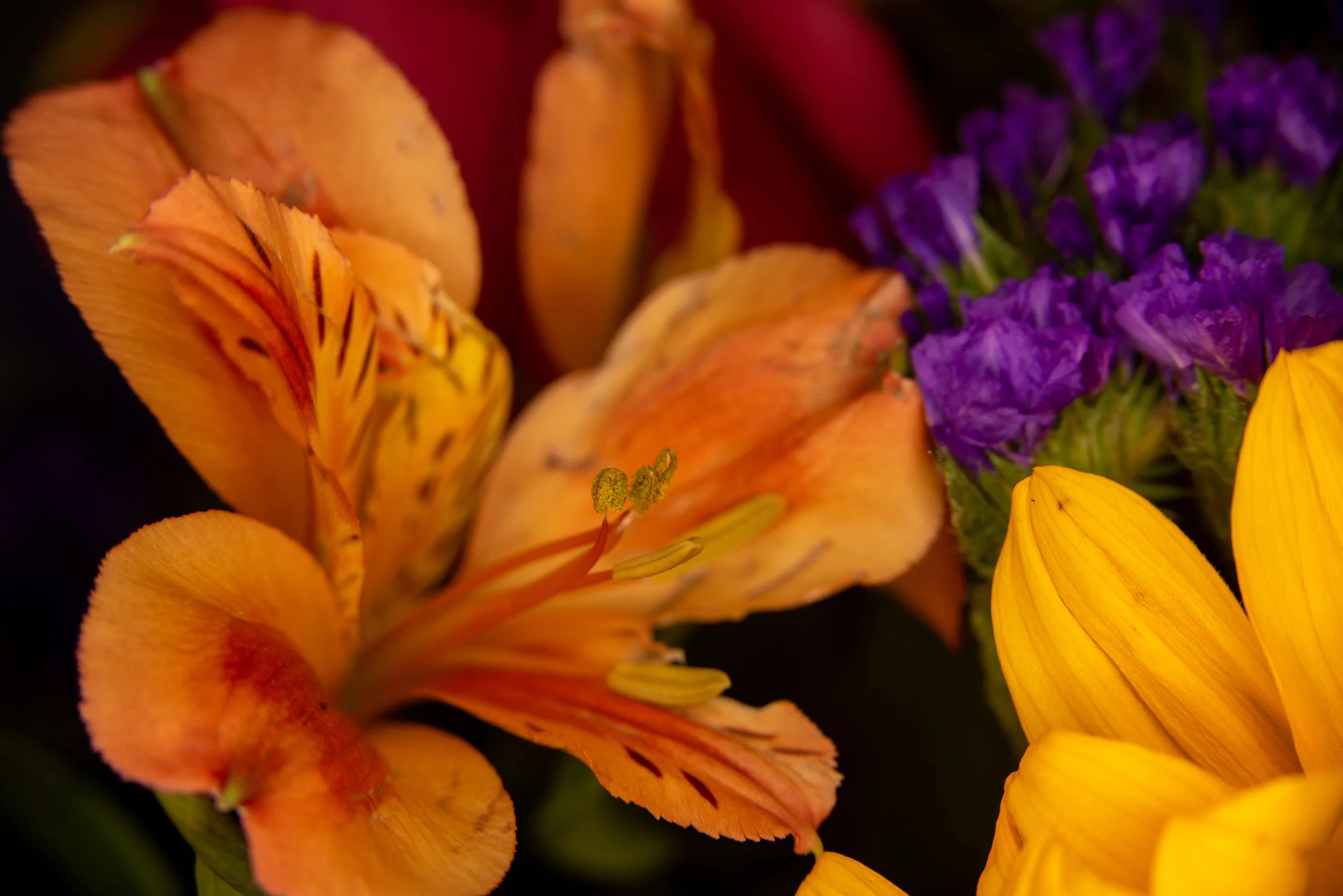 Studio-Flowers-10-HDR.jpg