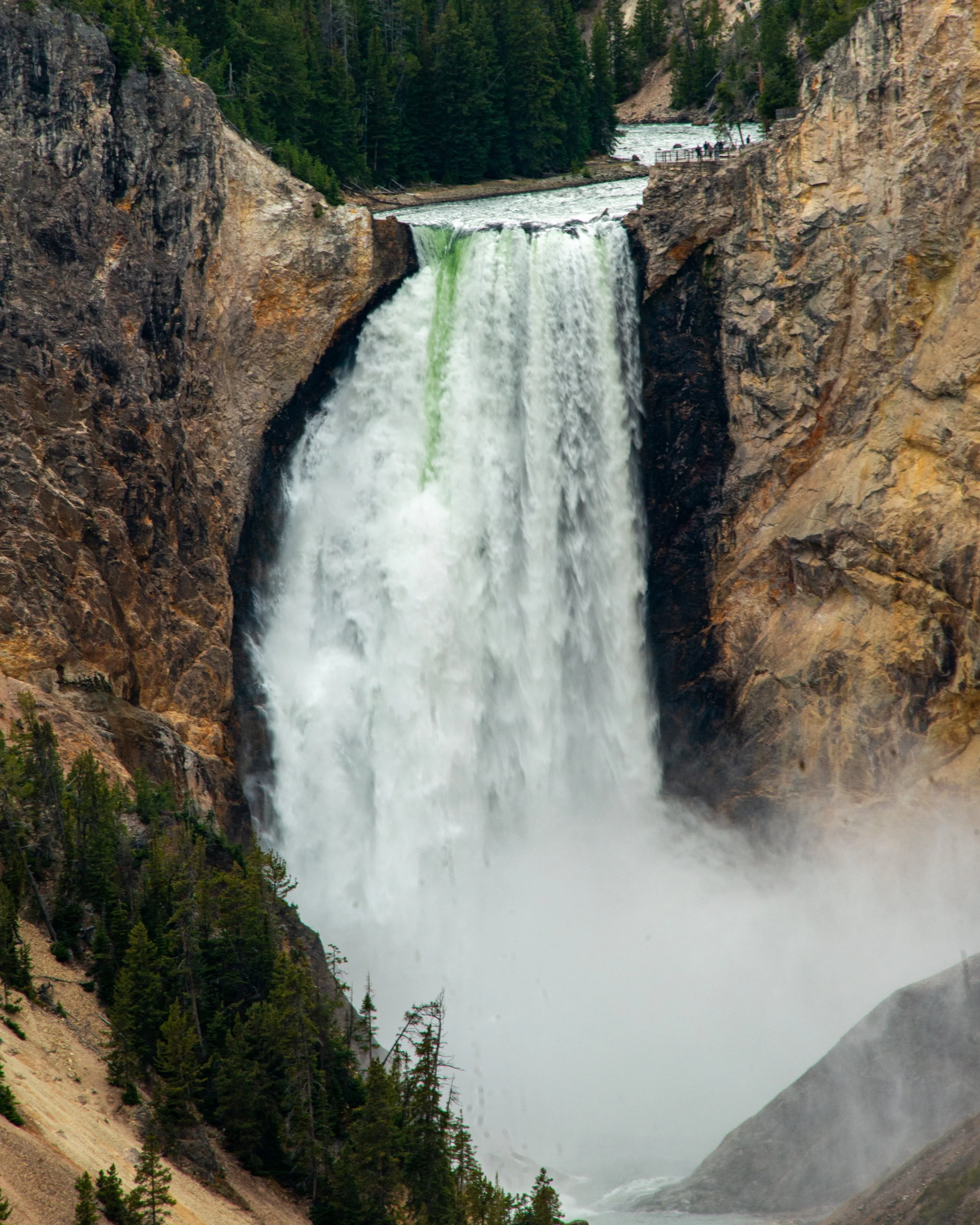 Yellowstone NP-373.jpg