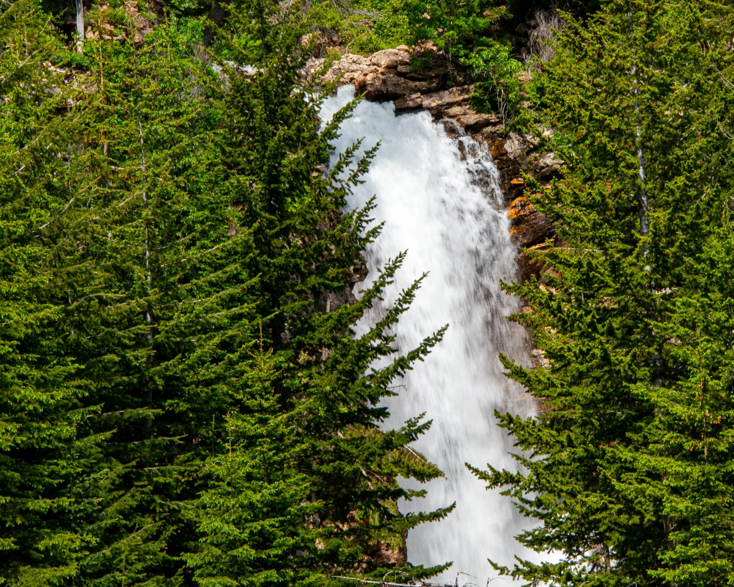 Glacier NP-435.jpg