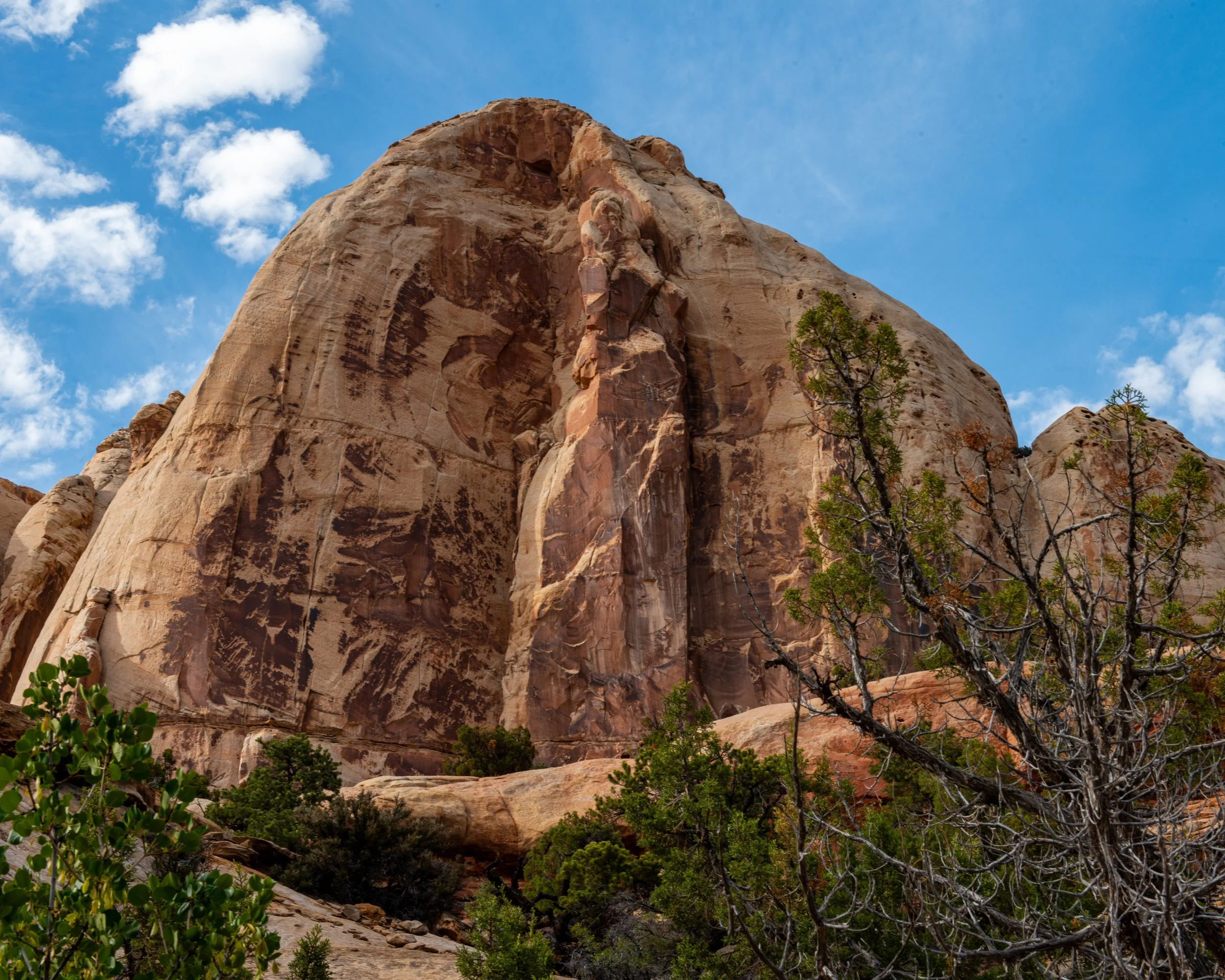 Capitol Reef-22.jpg